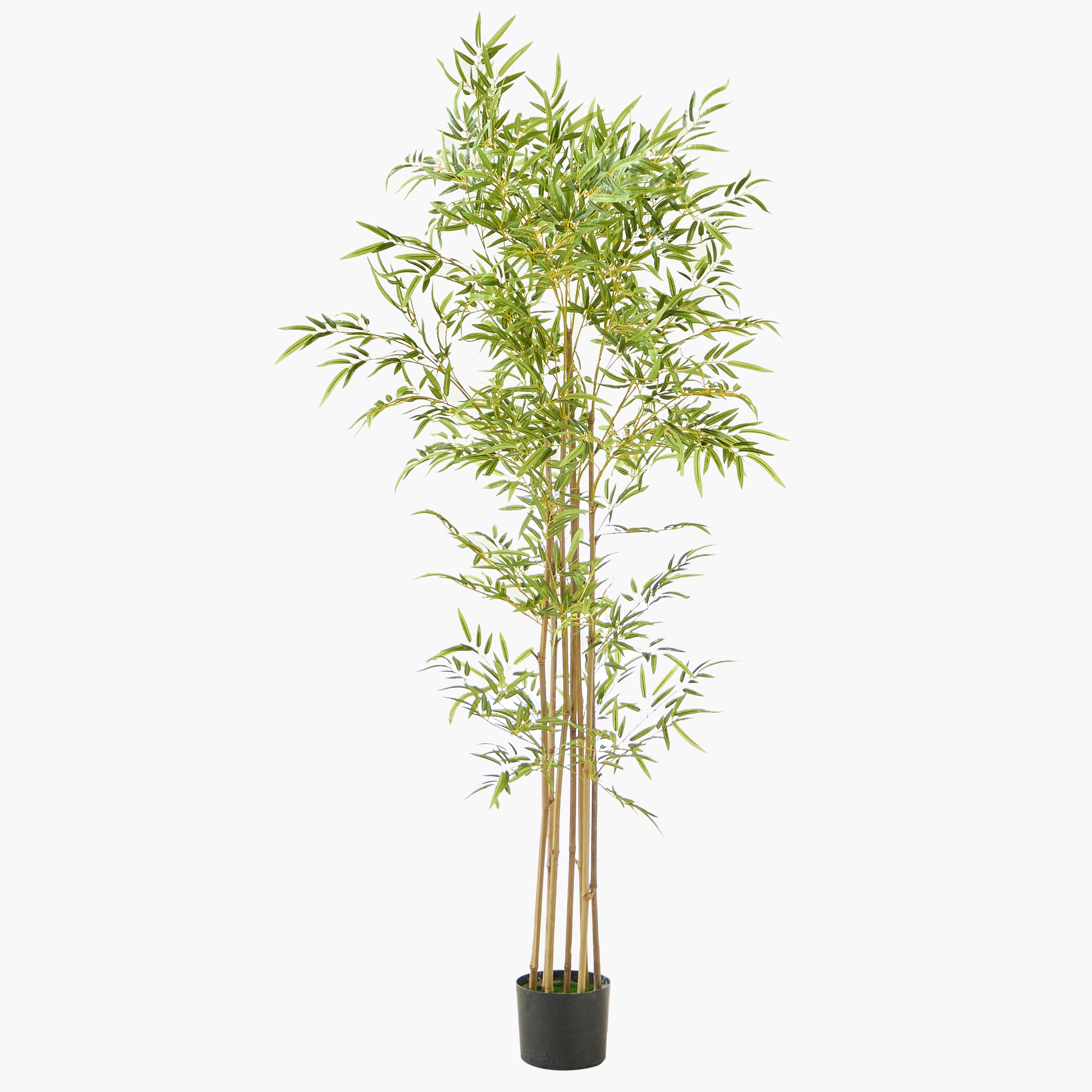 Teodora Artificial Bamboo Tree - 180 cm-hbxdecorandfurnishings-homeaccessories-artificialflowersandplants-image-5