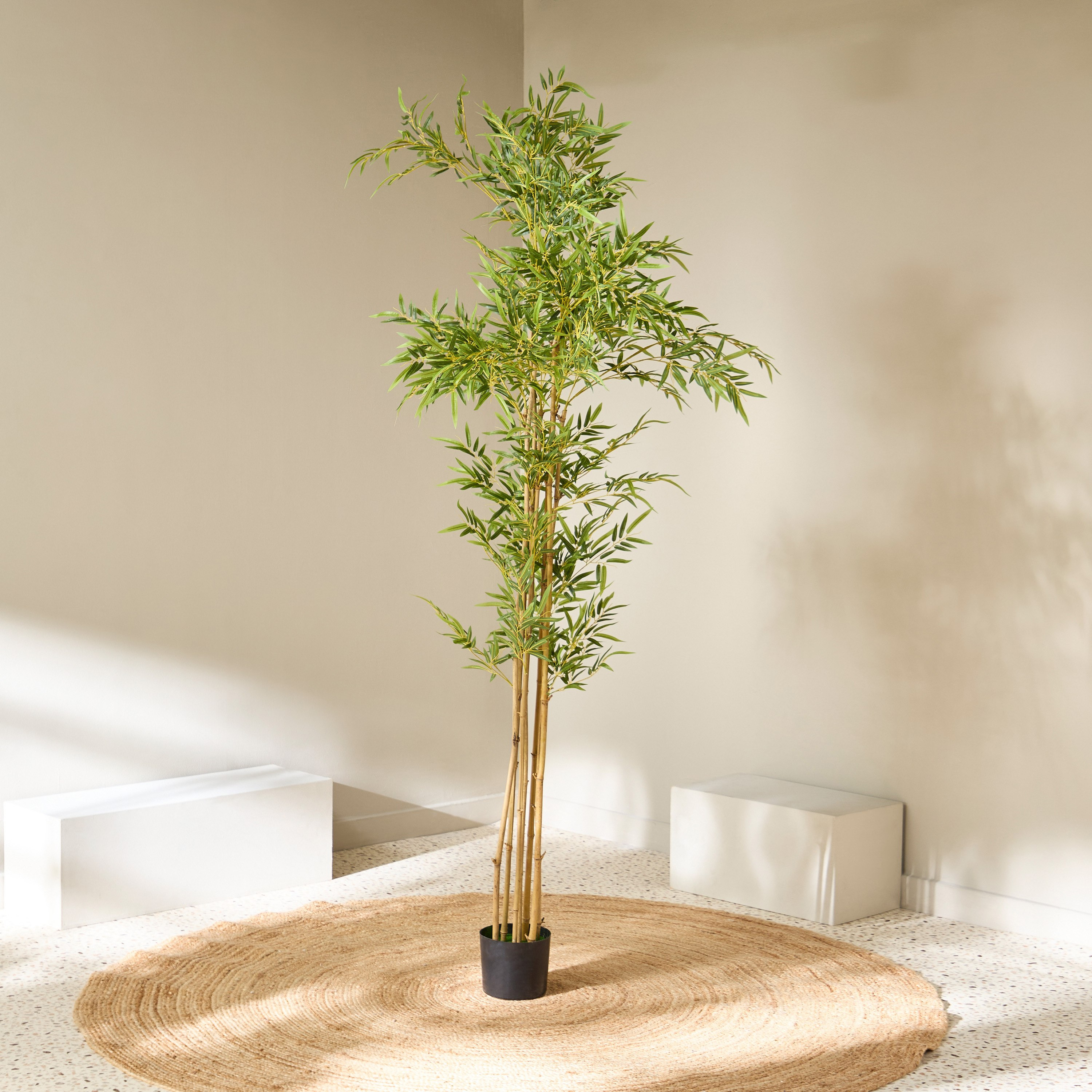 Teodora Artificial Bamboo Tree - 220 cm-hbxdecorandfurnishings-homeaccessories-artificialflowersandplants-image-2
