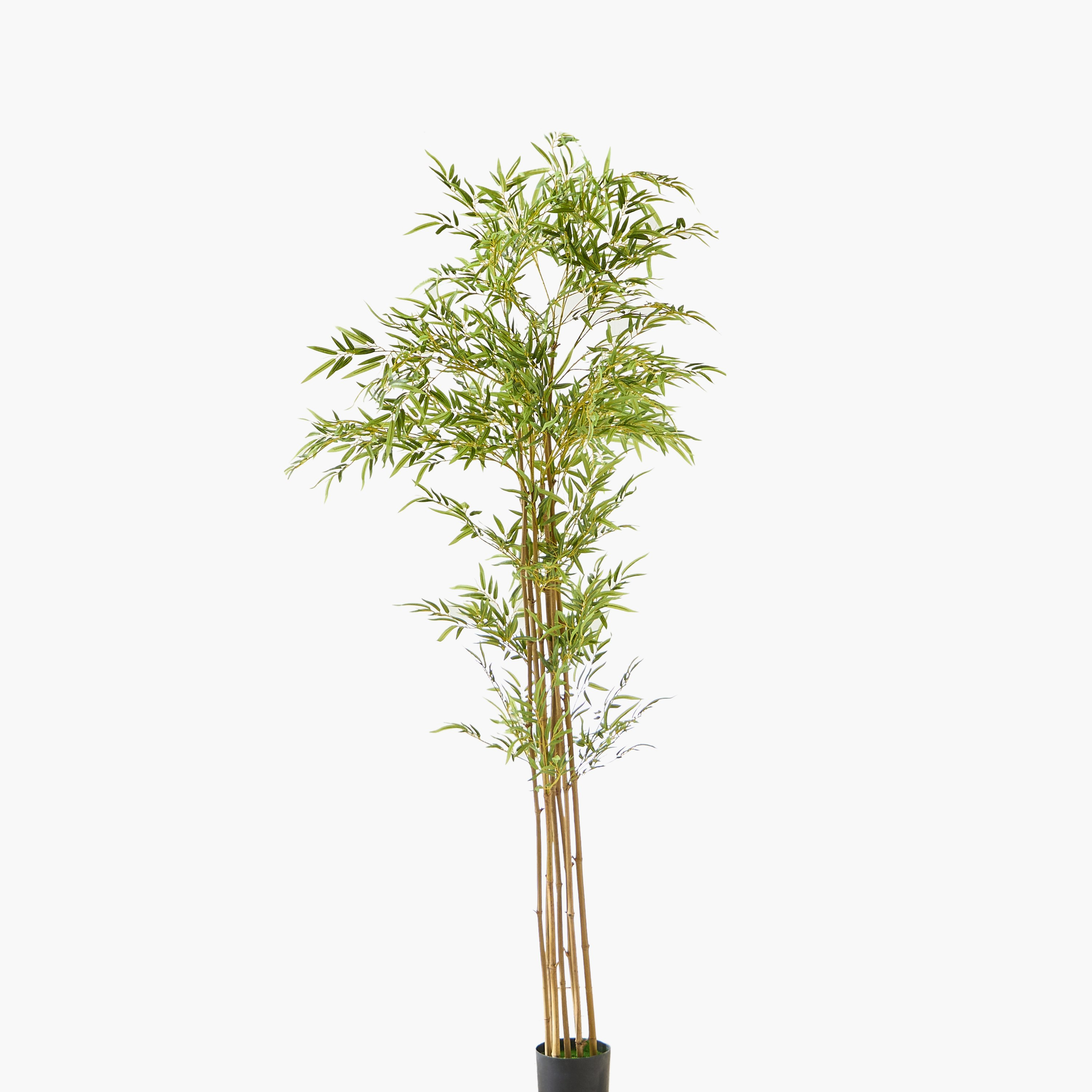 Teodora Artificial Bamboo Tree - 220 cm-hbxdecorandfurnishings-homeaccessories-artificialflowersandplants-image-5
