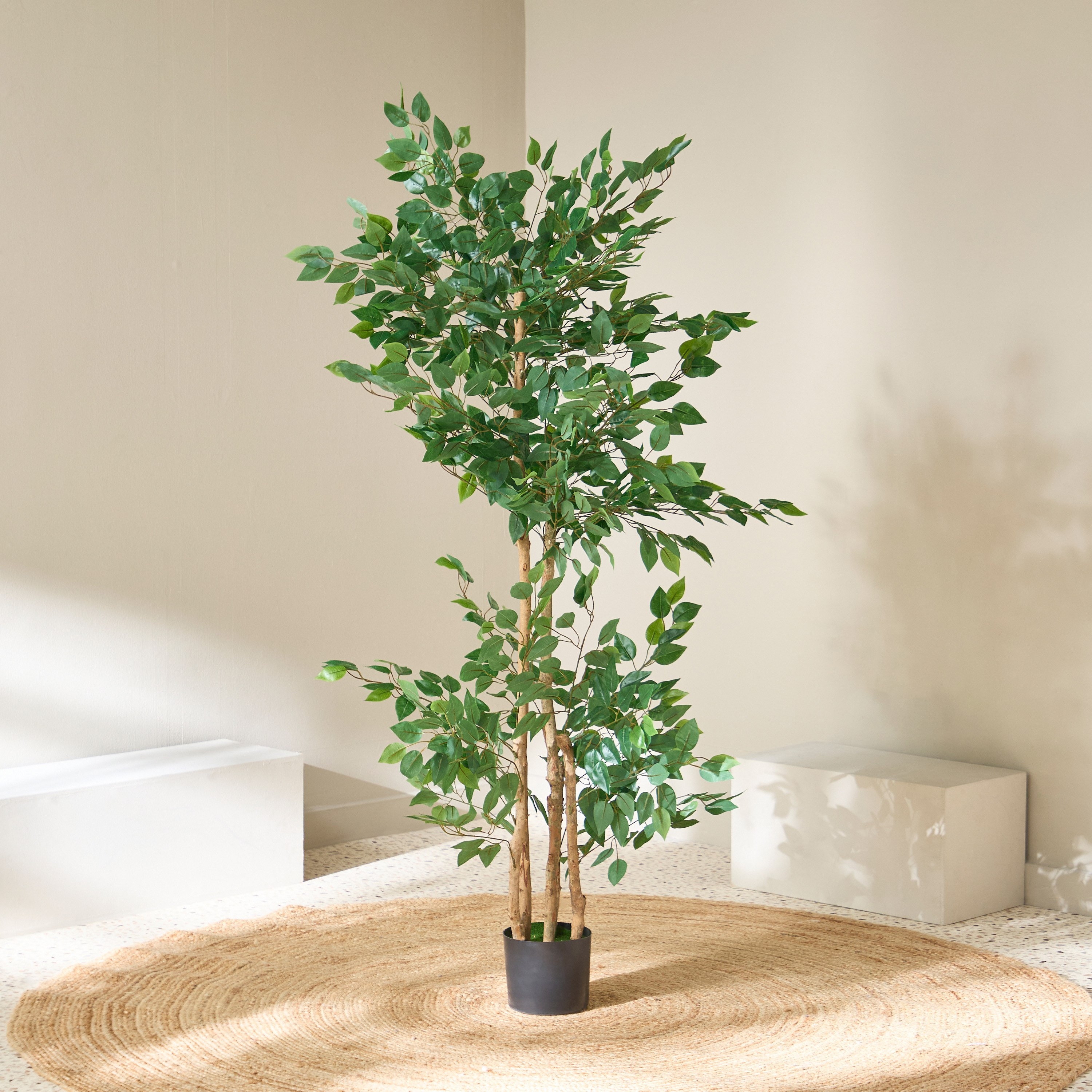 Teodora Artificial Double Trunk Ficus Tree - 170 cm-hbxdecorandfurnishings-homeaccessories-artificialflowersandplants-image-2