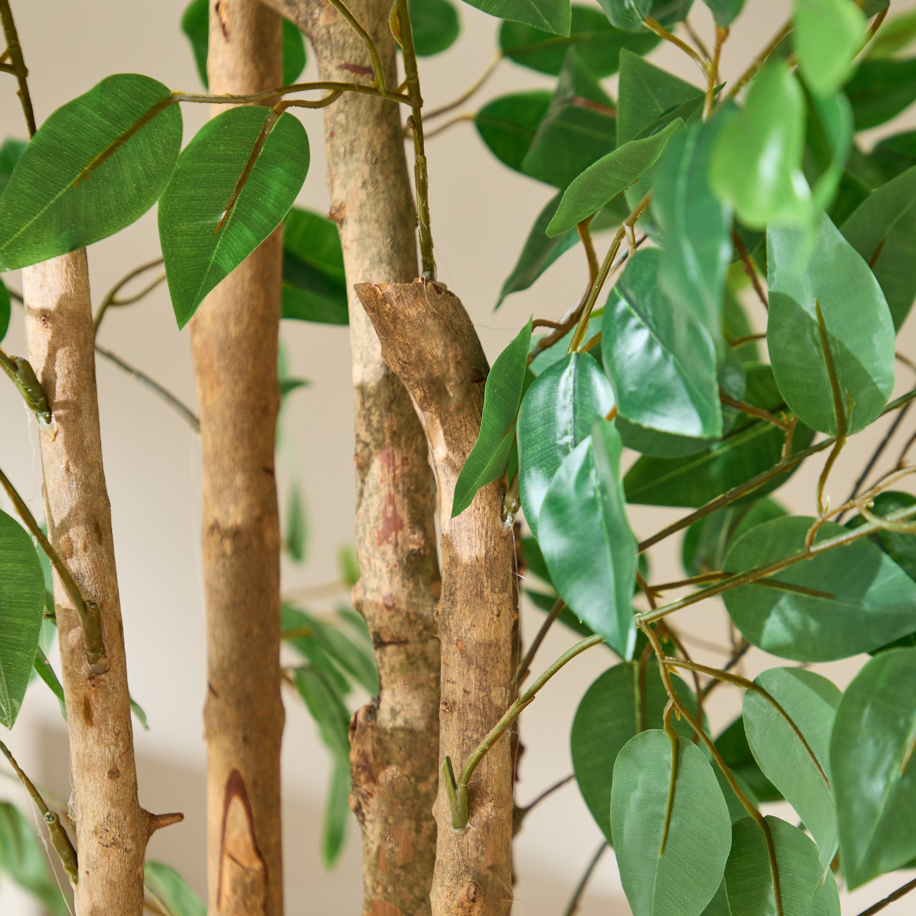 Teodora Artificial Double Trunk Ficus Tree - 170 cm-hbxdecorandfurnishings-homeaccessories-artificialflowersandplants-image-3