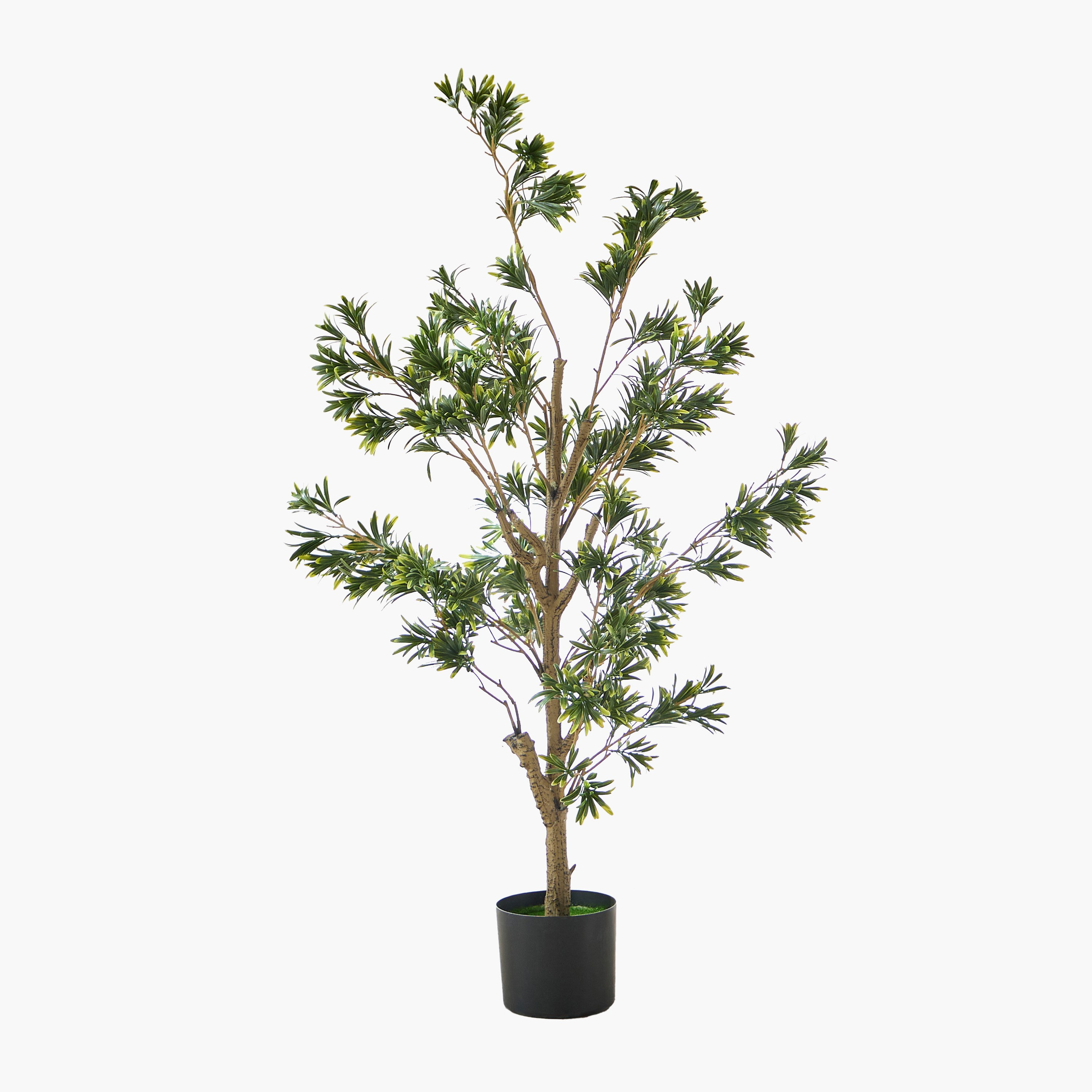 شجرة بودوكاربوس صناعية من تيودورا - 100 سم-hbxdecorandfurnishings-homeaccessories-artificialflowersandplants-image-5