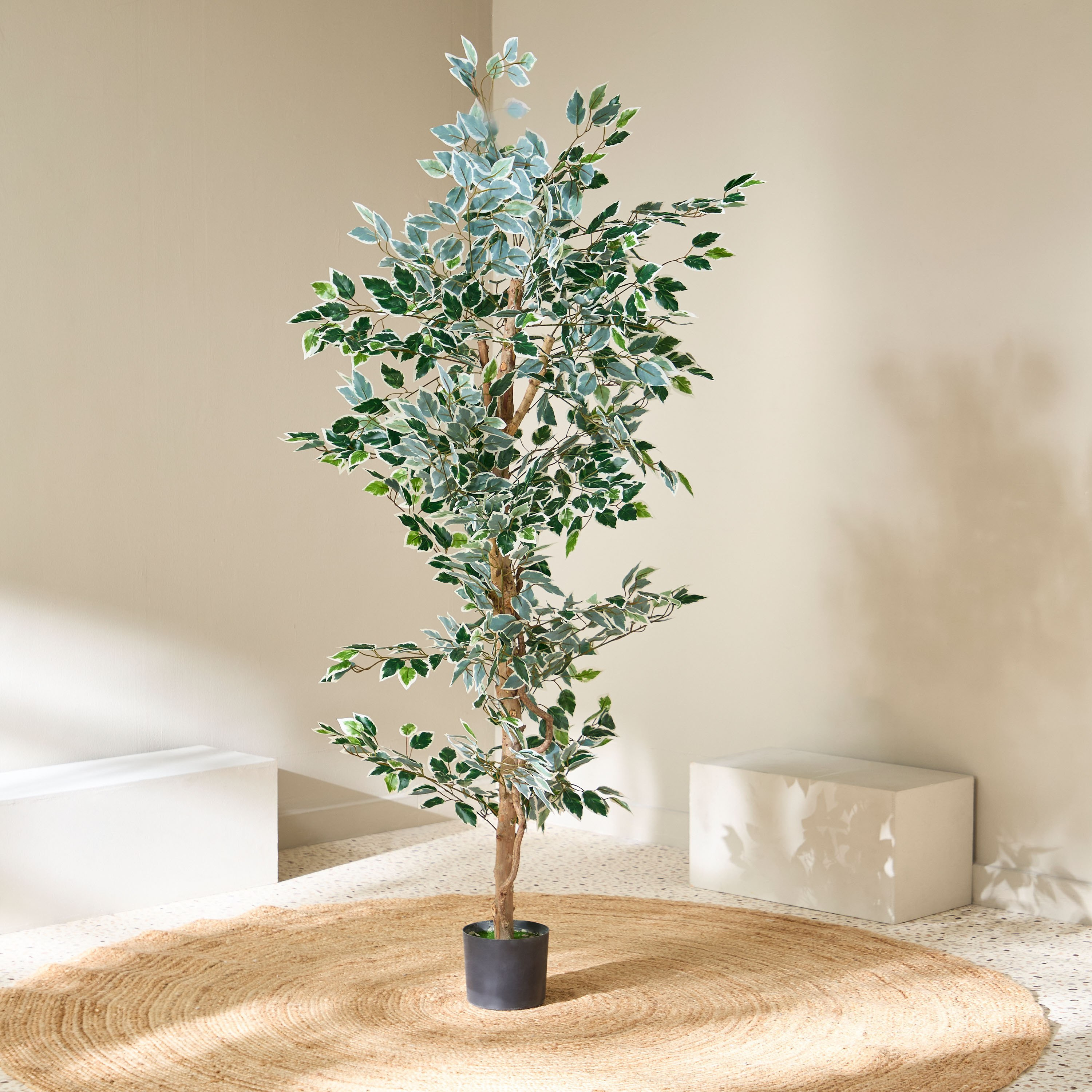 Teodora Artificial Ficus Tree - 180 cm-hbxdecorandfurnishings-homeaccessories-artificialflowersandplants-image-2
