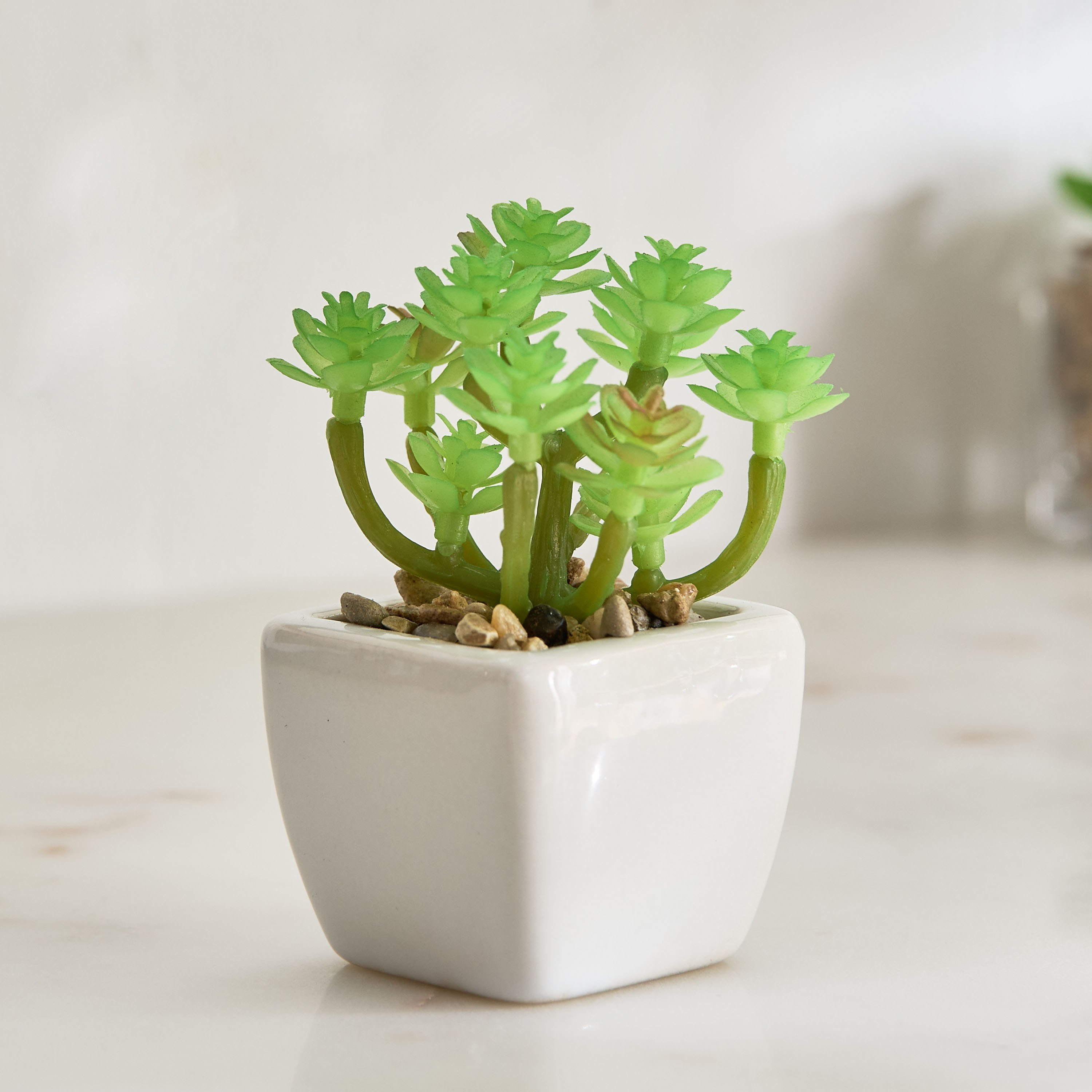 Tant Ceramic Potted Succulent - 7x7x8.5 cm-PROMO_HB_AE_B1G1_250925-image-1