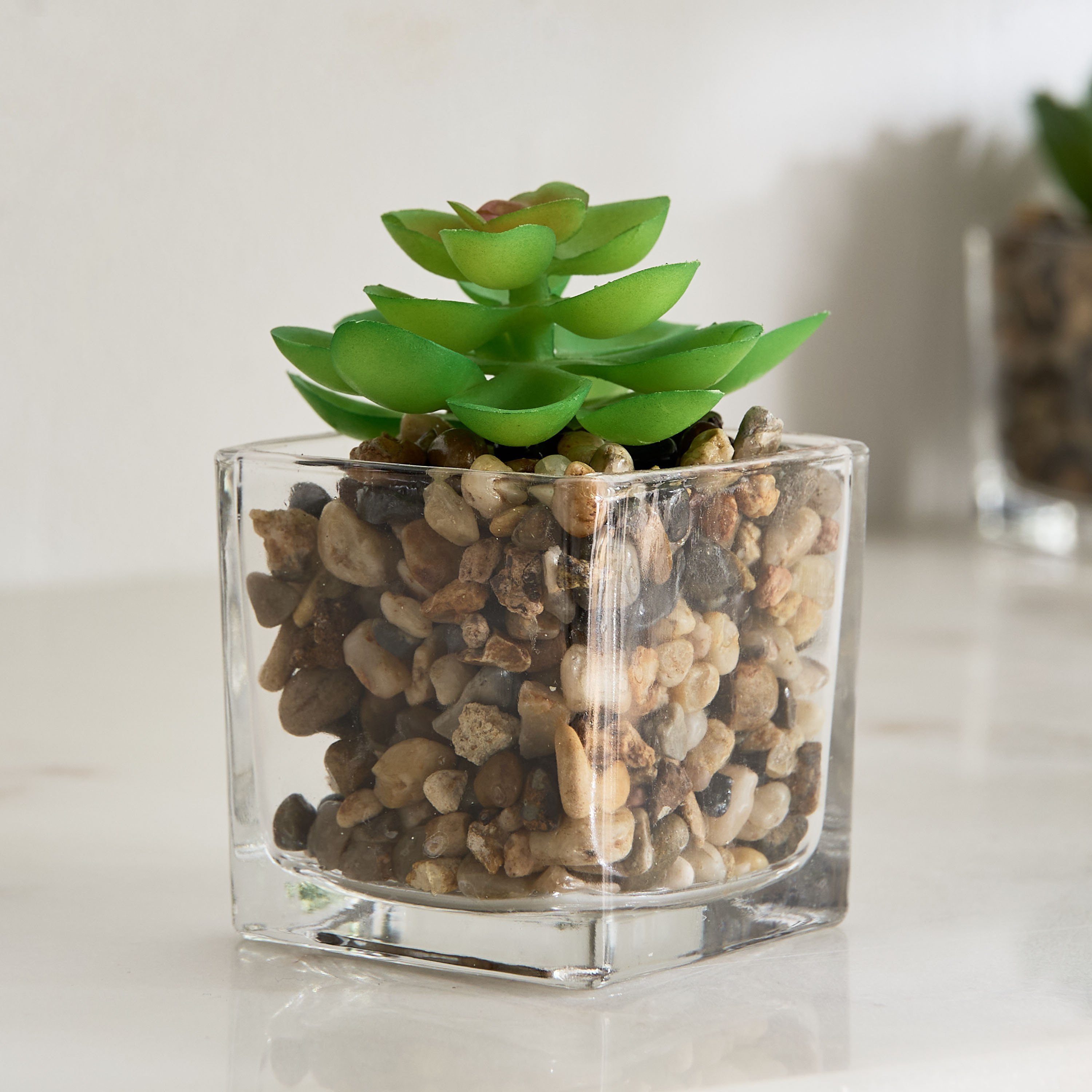 Tant Glass Potted Succulent - 8x8x9 cm-hbxdecorandfurnishings-homeaccessories-plantersandurns-image-1