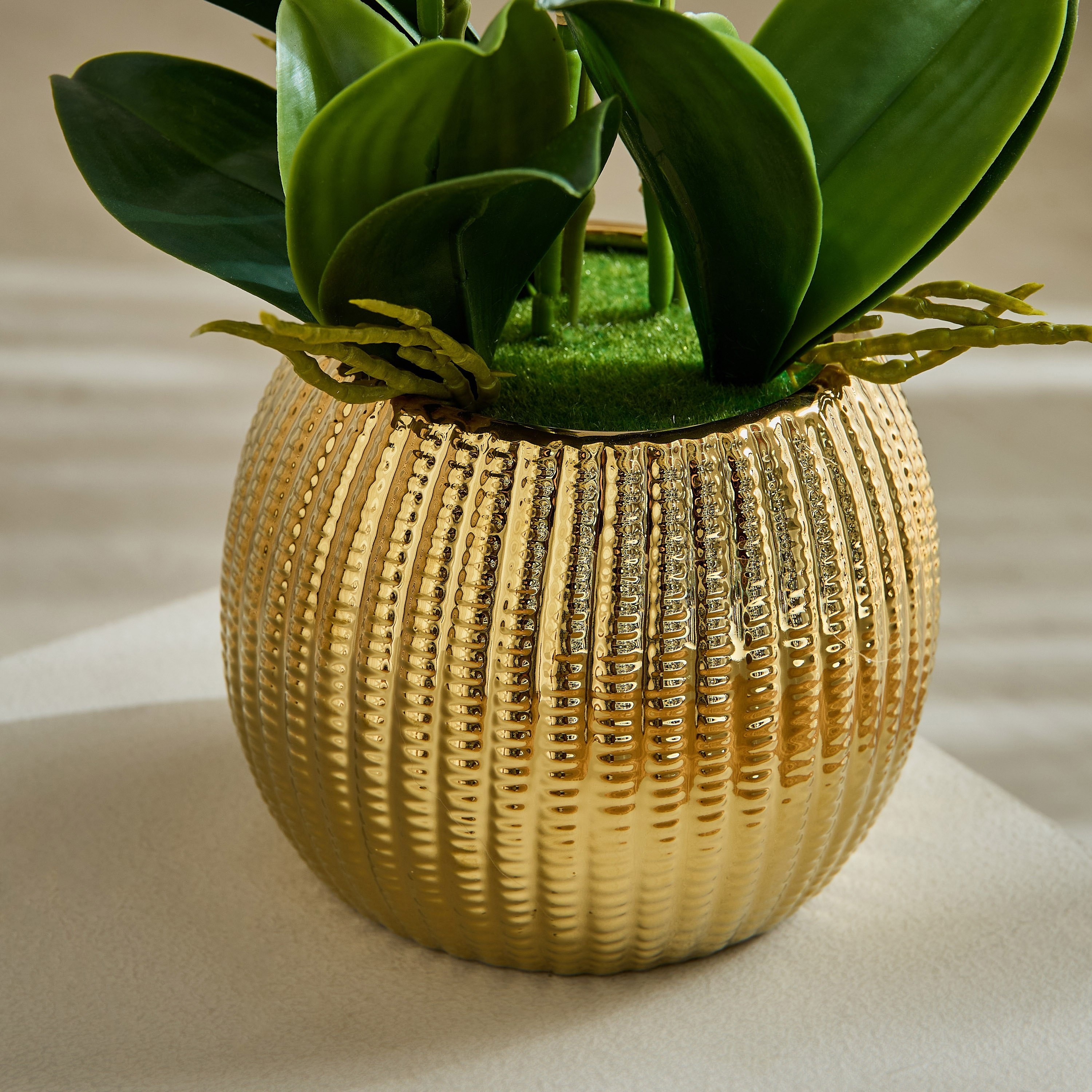 Areos Orchid Flower Arrangement with Ribbed Ceramic Pot - 58x40x62 cm-PROMO_HB_BAH_THRESHOLD_Homeware_100426-image-3