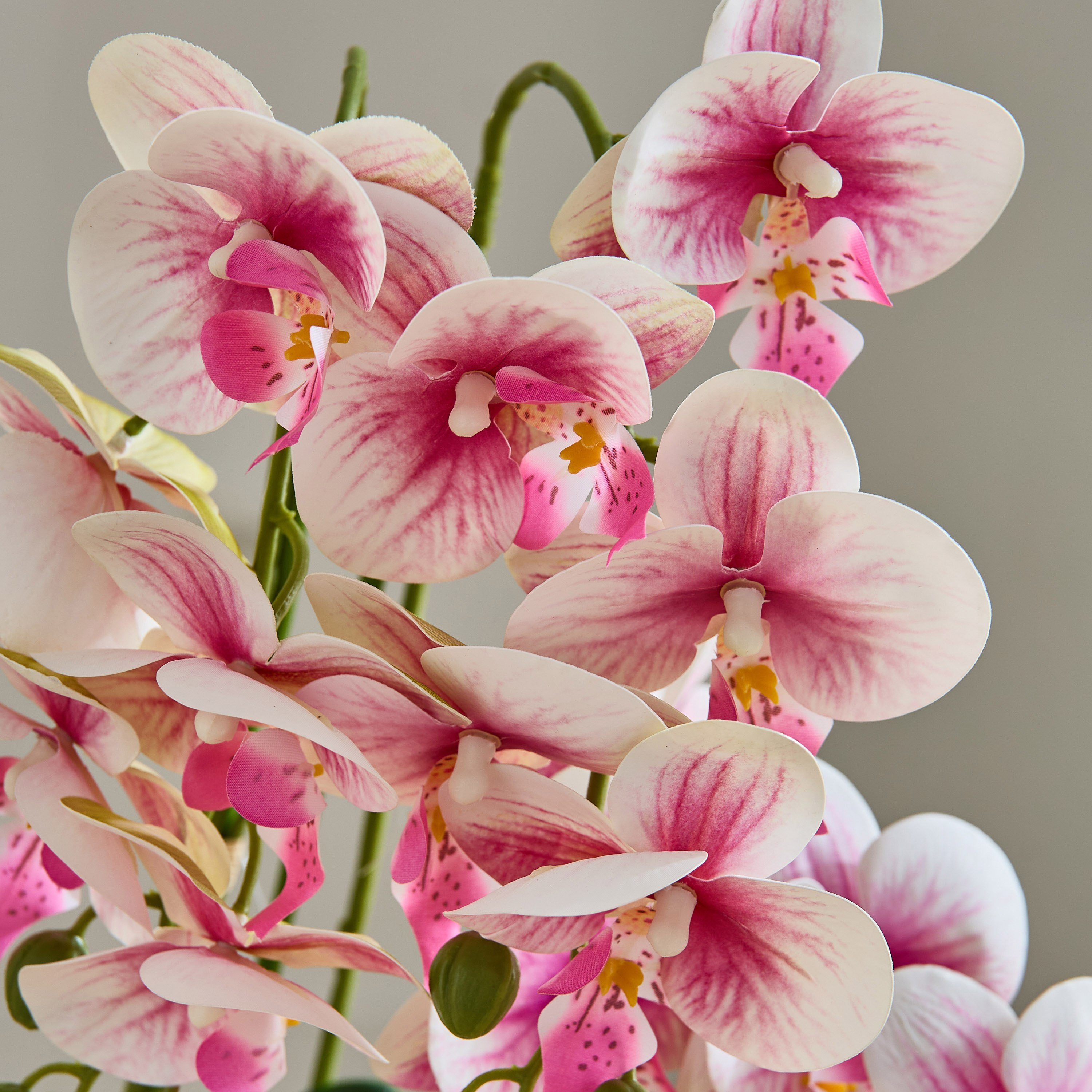 Areos Orchid Flower Arrangement with Hammered Ceramic Pot - 52 cm-PROMO_HB_AE_B1G1_250925-image-2