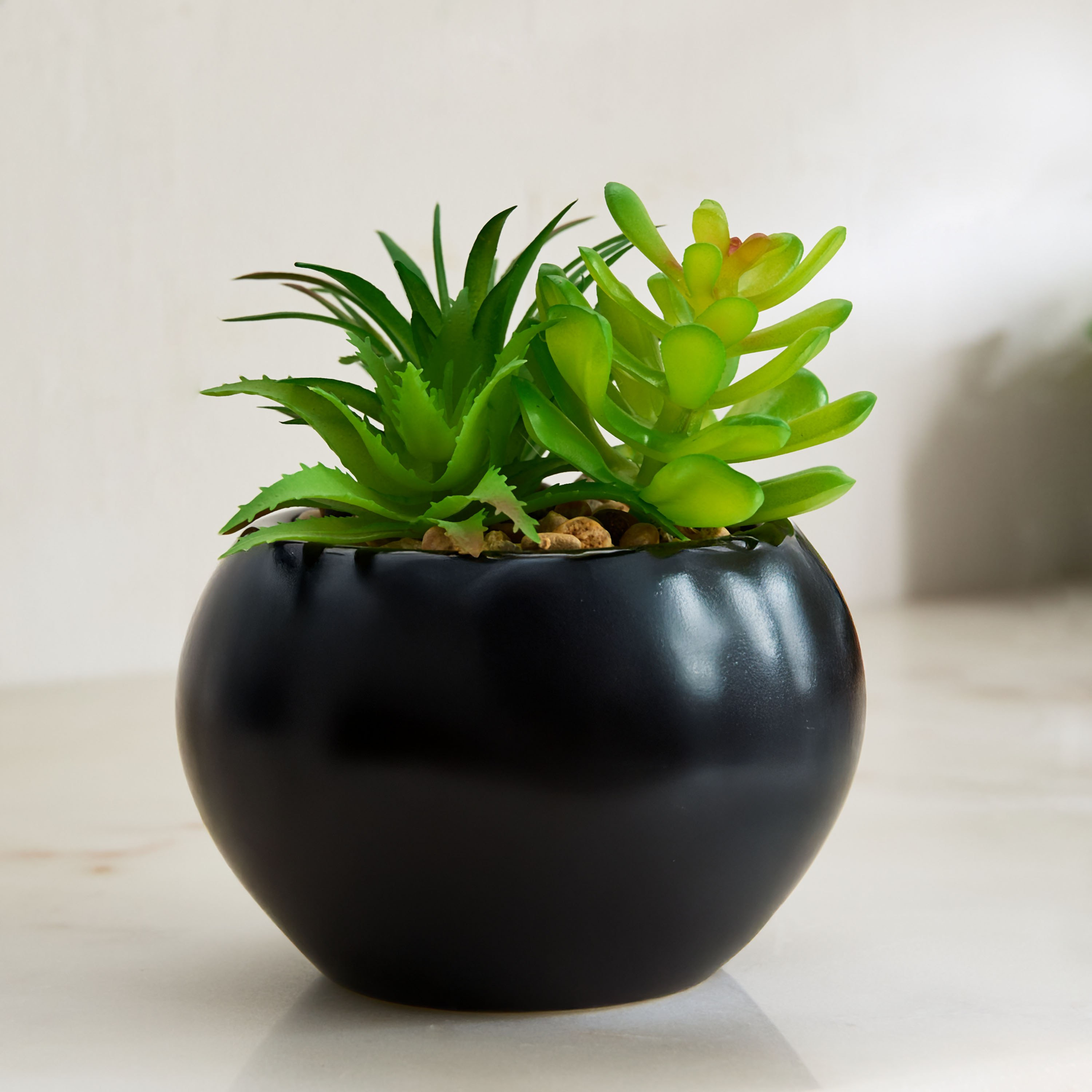 نبات عصاري في إناء زرع سيراميك مستدير من تانت - 12 سم-hbxdecorandfurnishings-homeaccessories-plantersandurns-image-1