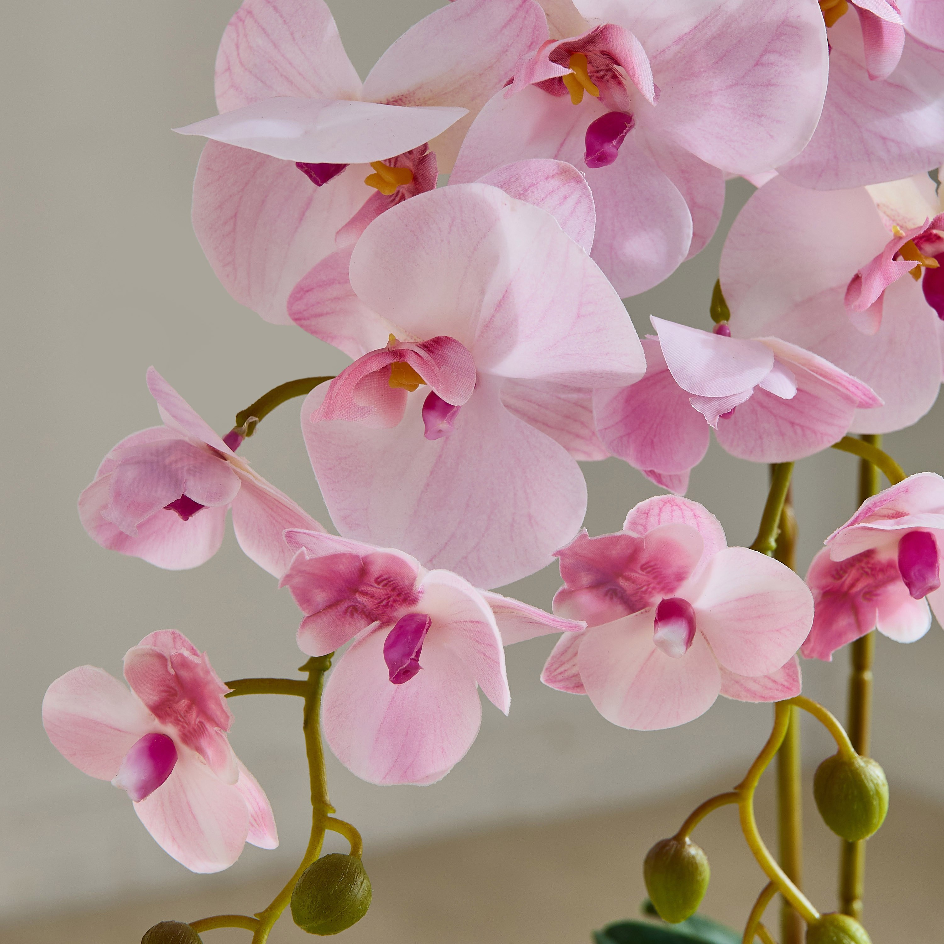 Areos Orchid Flower Arrangement with Ribbed Ceramic Pot - 58 cm-PROMO_HB_BH_B1G1_250925-image-2