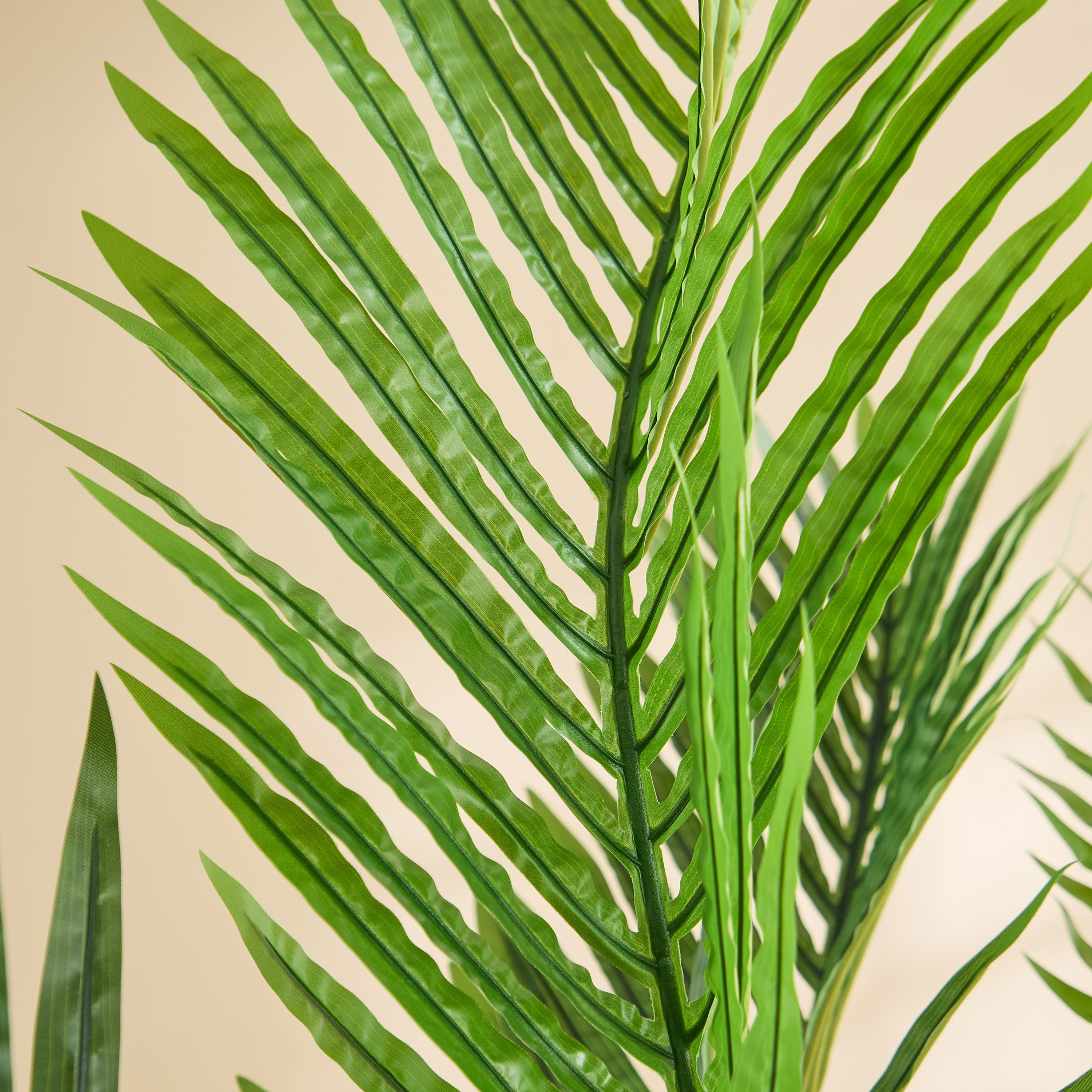 Teodora Sylvan Palm Tree with 14 Leaves - 123x113x156 - cm-hbxdecorandfurnishings-homeaccessories-artificialflowersandplants-image-3