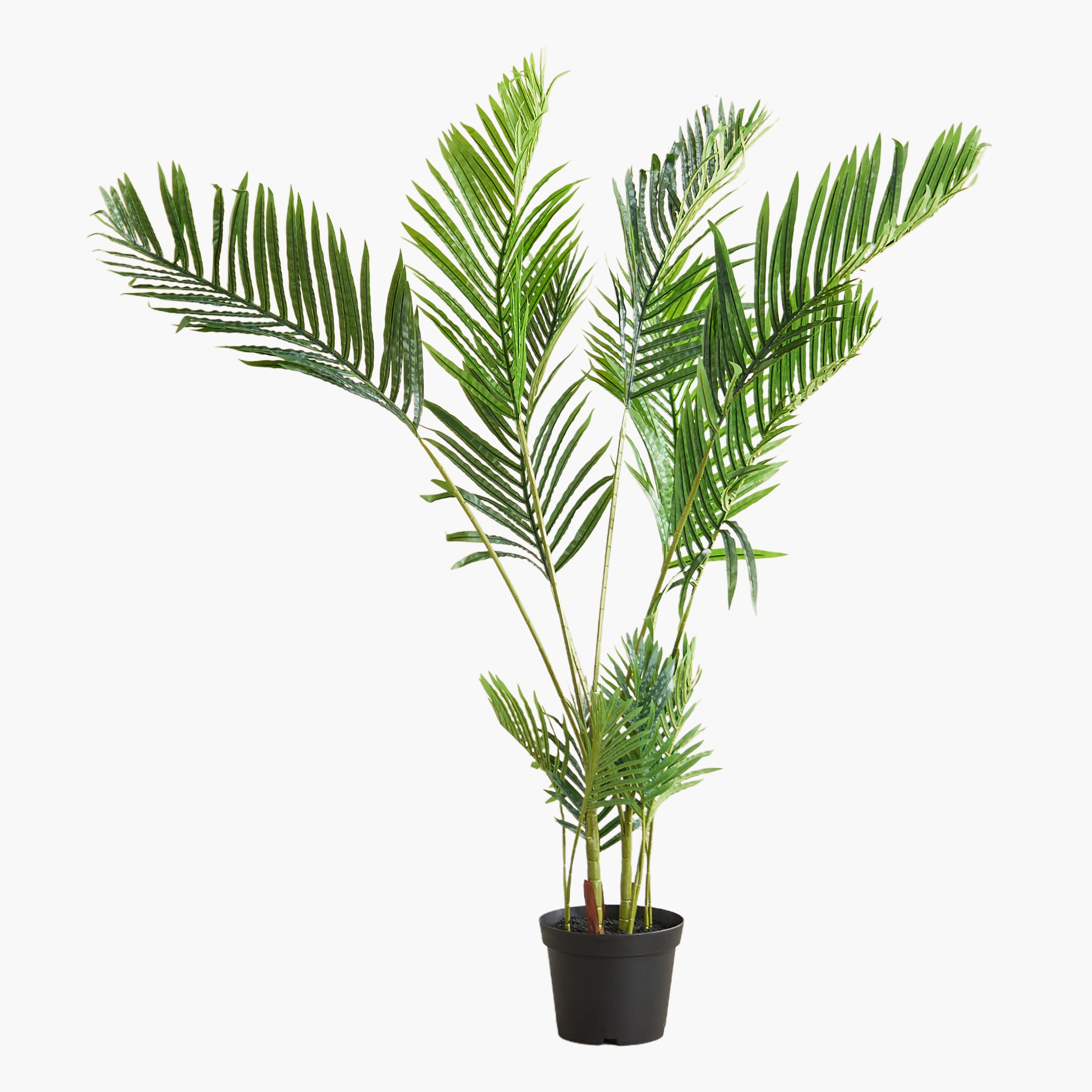 Teodora Sylvan Palm Tree with 14 Leaves - 123x113x156 - cm-hbxdecorandfurnishings-homeaccessories-artificialflowersandplants-image-6