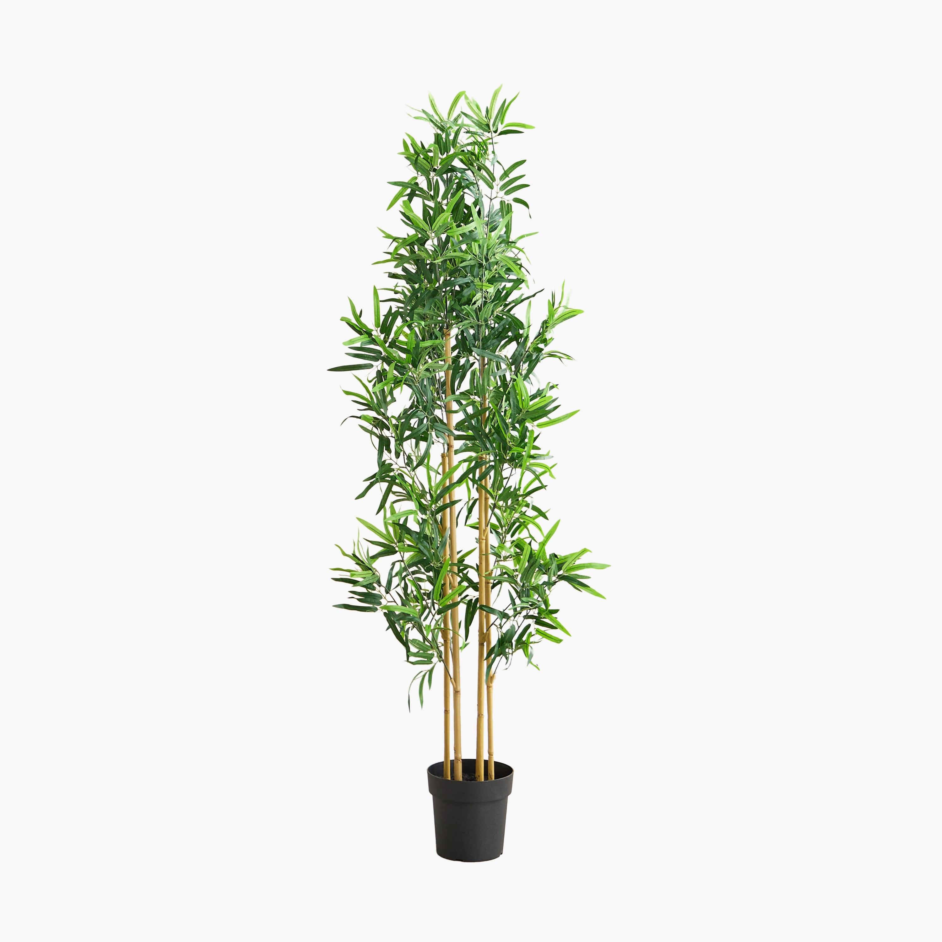 شجرة بامبو صناعية من تيدورا سيلفان - 70×70×175 سم-hbxdecorandfurnishings-homeaccessories-artificialflowersandplants-image-6