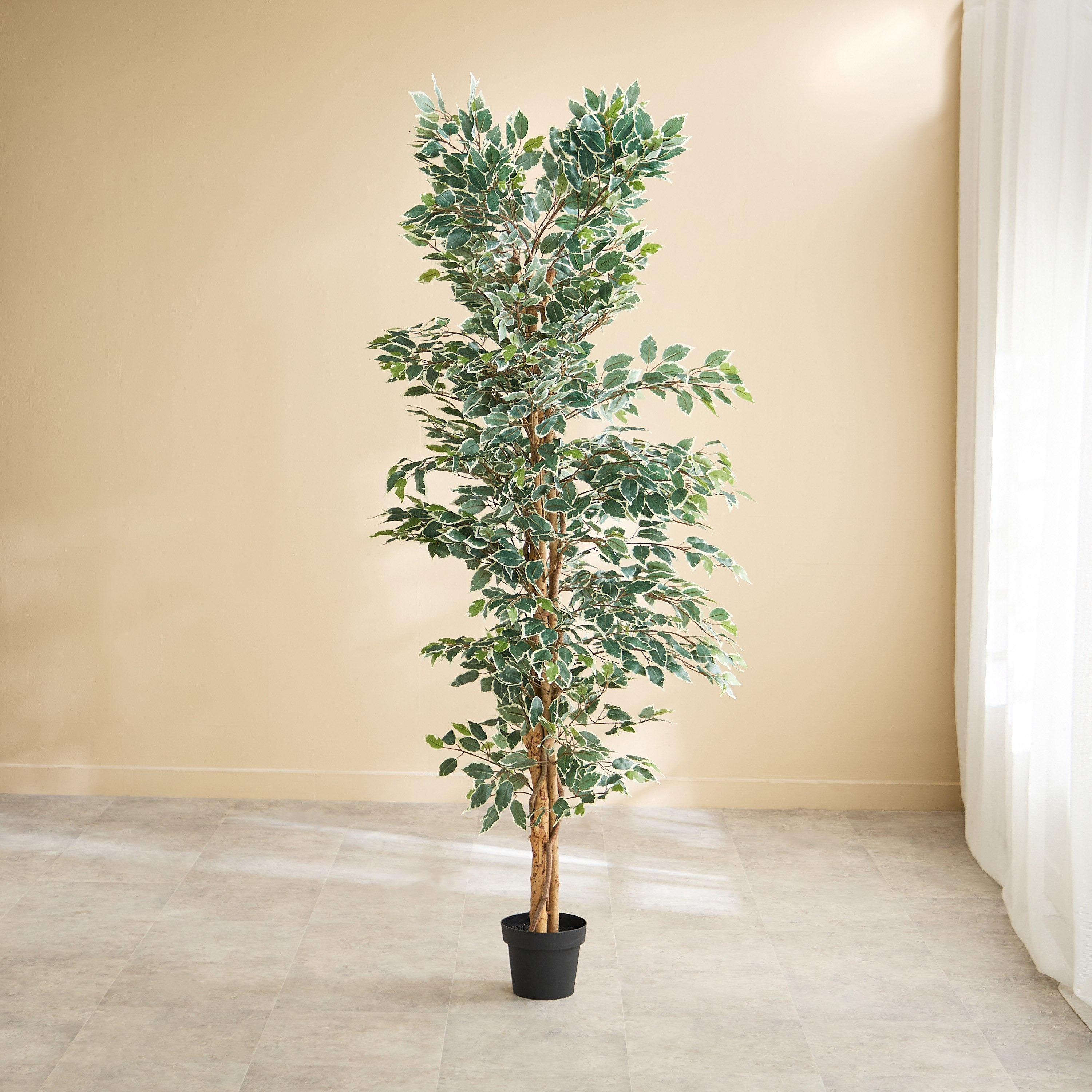 شجرة فيكس صناعية من تيدورا سيلفان - 80×80×200 سم-hbxdecorandfurnishings-homeaccessories-artificialflowersandplants-image-1