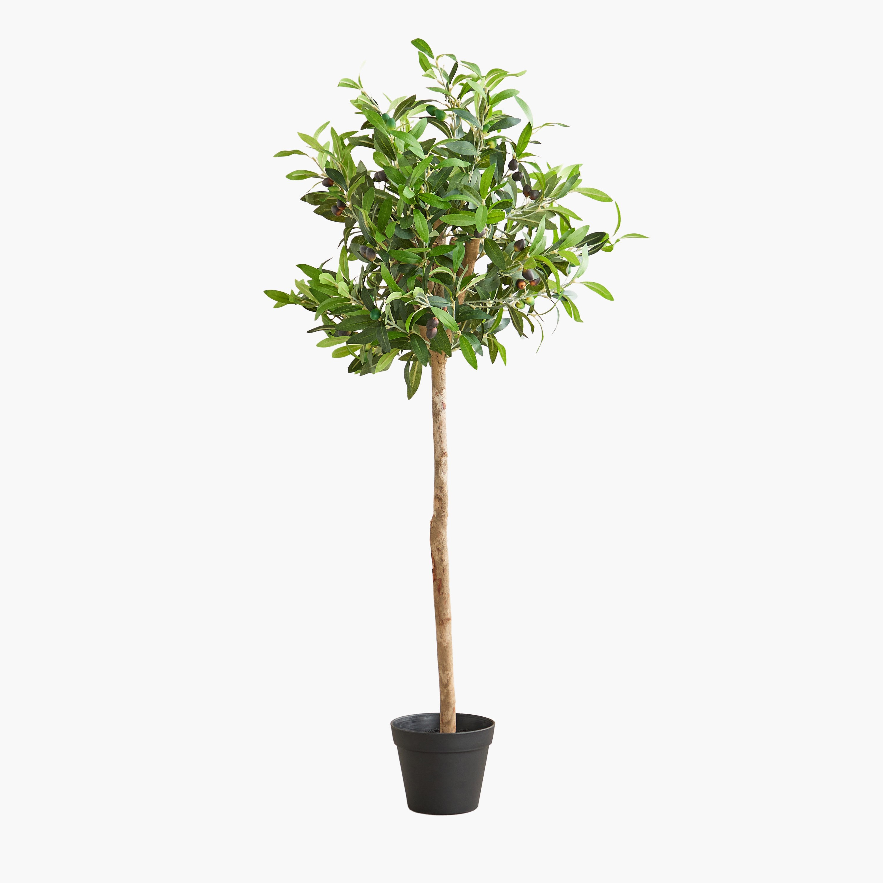 Teodora Sylvan Olive Tree - 50x50x110 cm-hbxdecorandfurnishings-homeaccessories-artificialflowersandplants-image-6