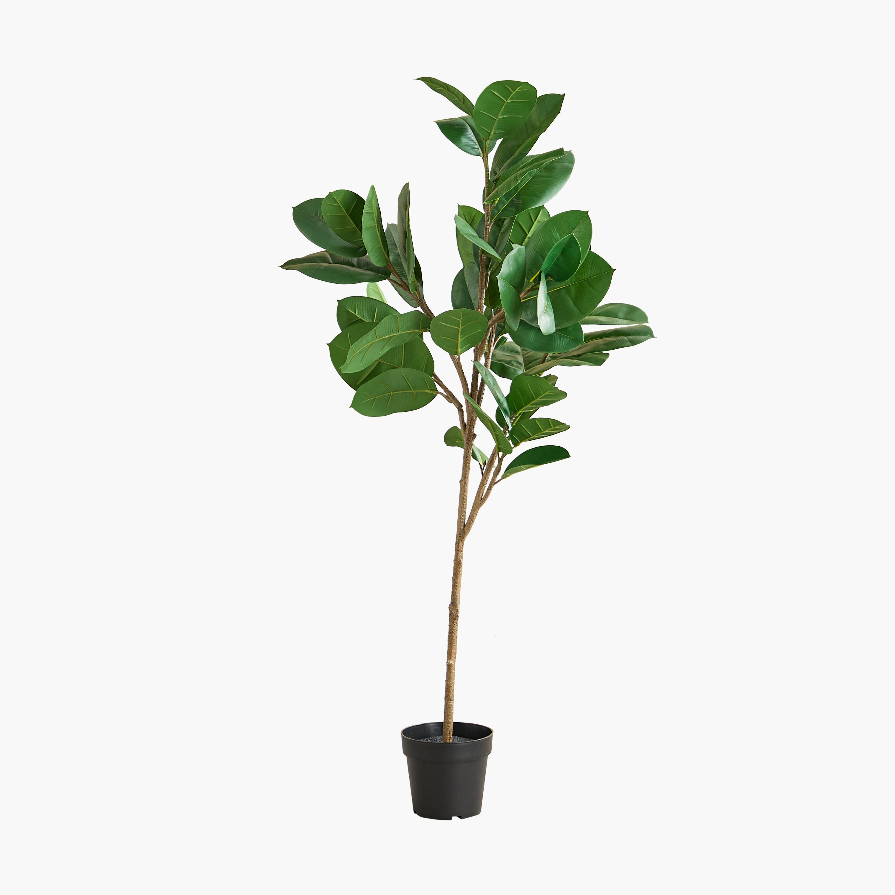 Teodora Sylvan Oak Tree - 70x45x140 cm-hbxdecorandfurnishings-homeaccessories-artificialflowersandplants-image-6