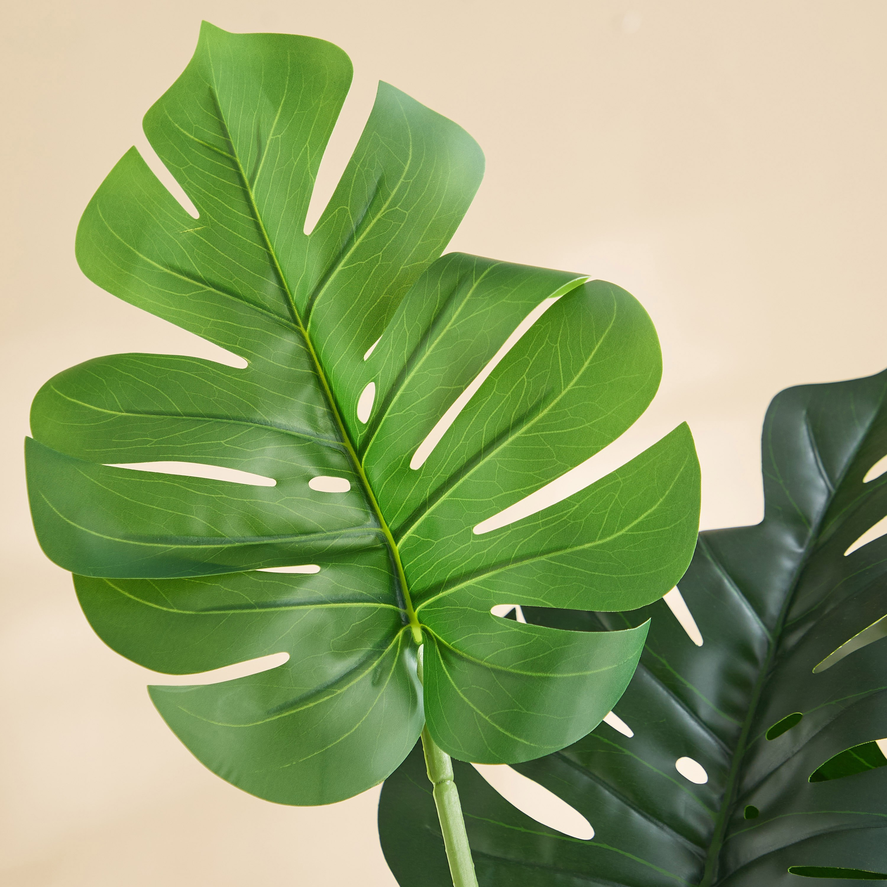 شجرة مونستيرا صناعية بـ9 أوراق من تيدورا سيلفان - 80×80×115 سم-hbxdecorandfurnishings-homeaccessories-artificialflowersandplants-image-3
