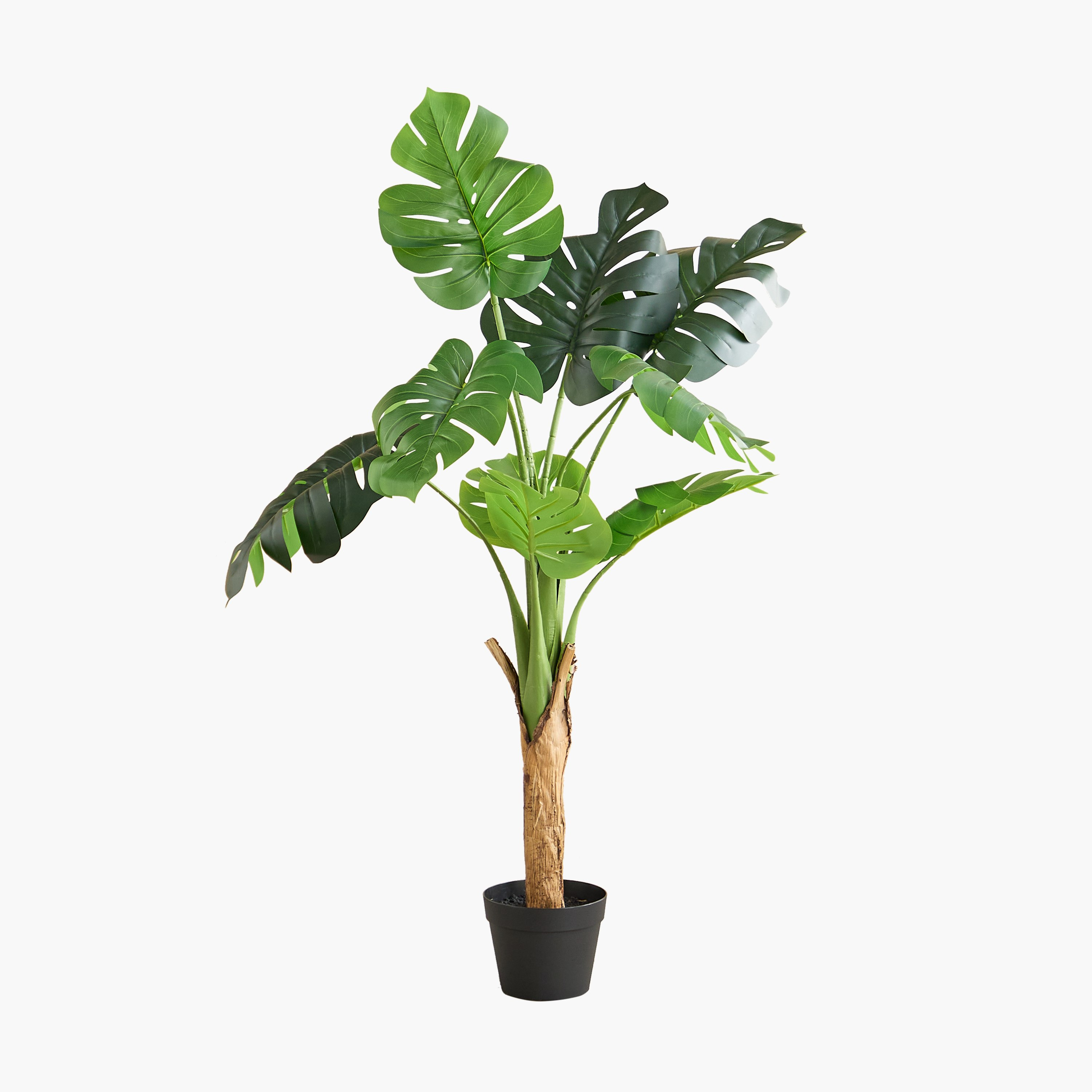 شجرة مونستيرا صناعية بـ9 أوراق من تيدورا سيلفان - 80×80×115 سم-hbxdecorandfurnishings-homeaccessories-artificialflowersandplants-image-6