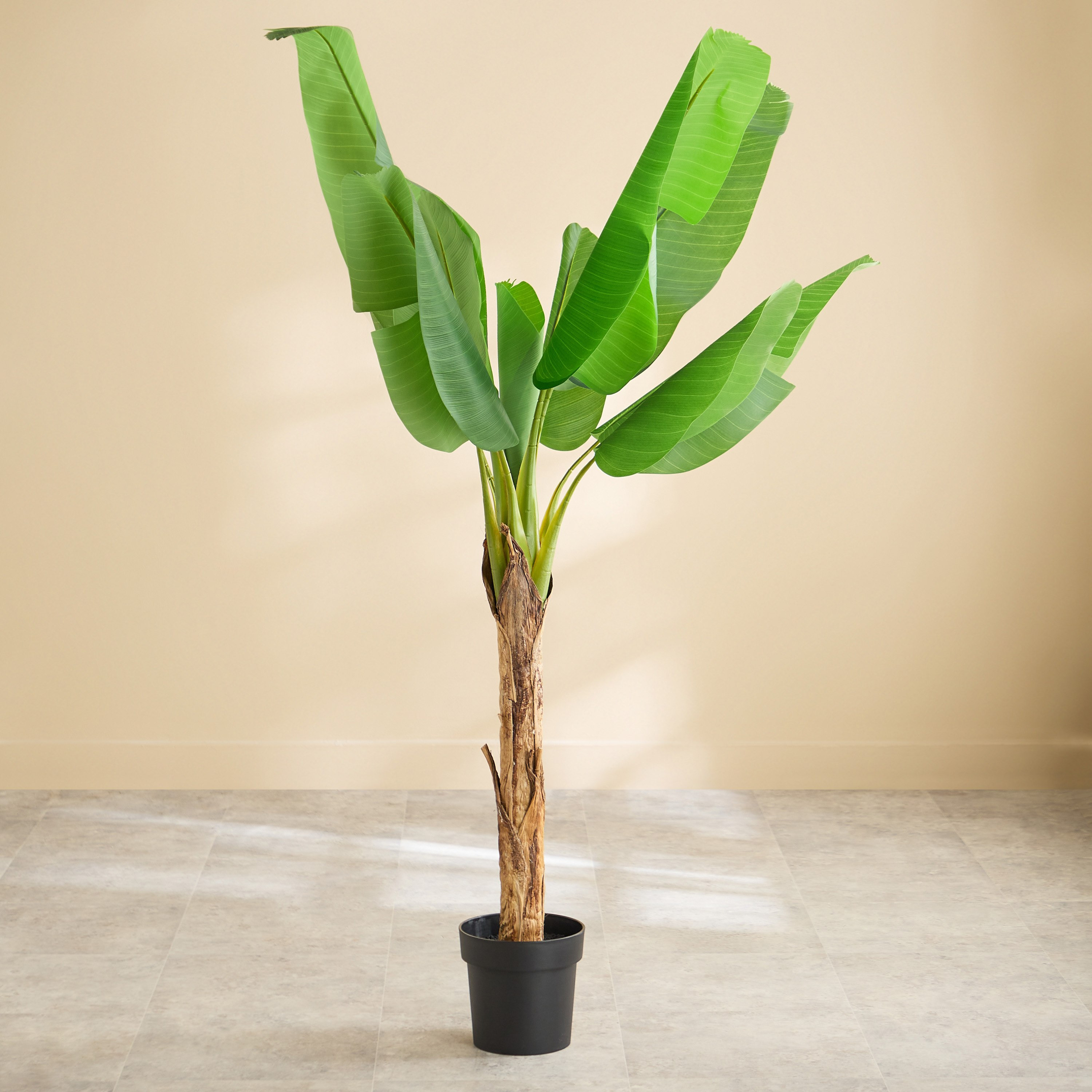 شجرة موز صناعية  بـ10 أوراق من تيدورا سيلفان - 110×110×155 سم-hbxdecorandfurnishings-homeaccessories-artificialflowersandplants-image-1