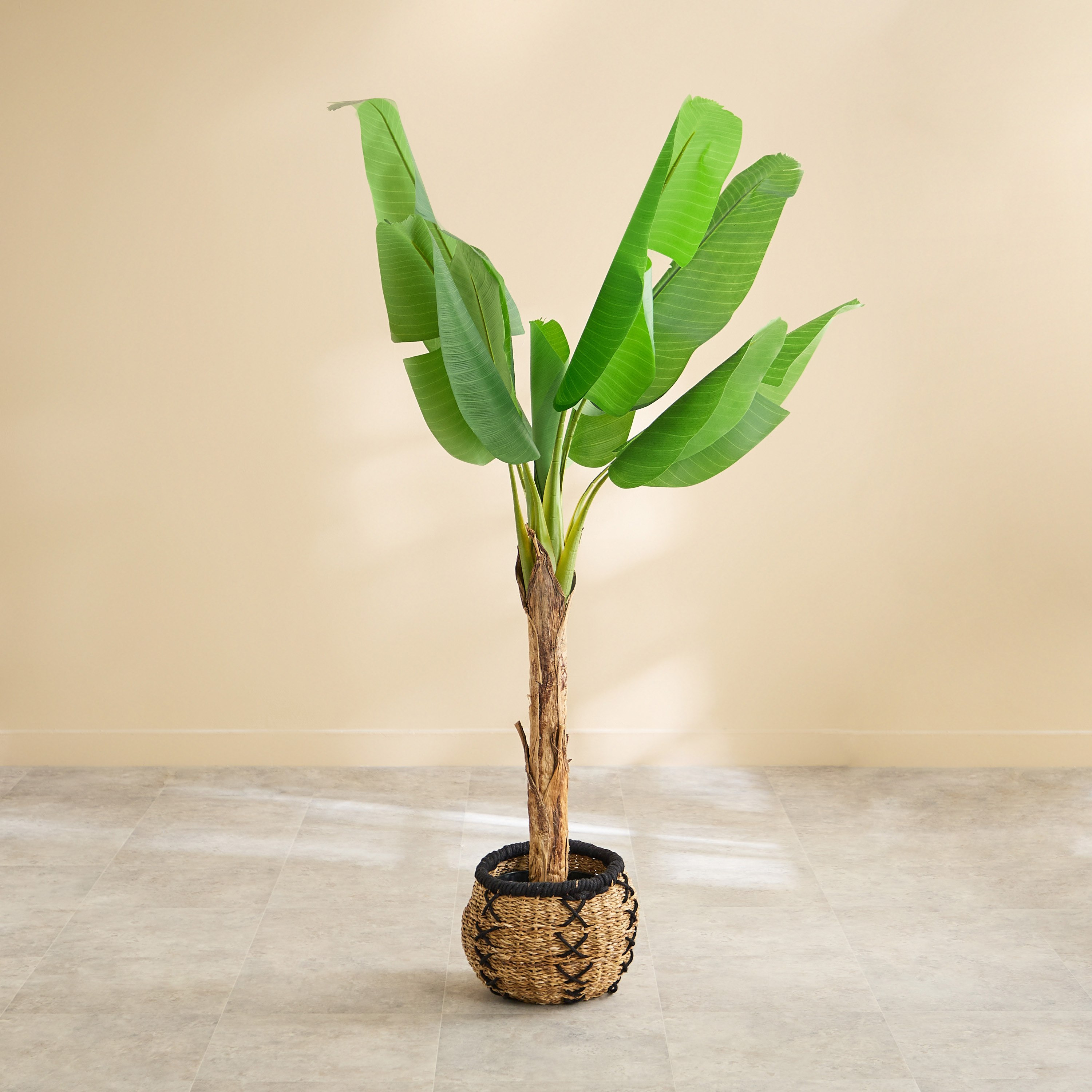 شجرة موز صناعية  بـ10 أوراق من تيدورا سيلفان - 110×110×155 سم-hbxdecorandfurnishings-homeaccessories-artificialflowersandplants-image-2