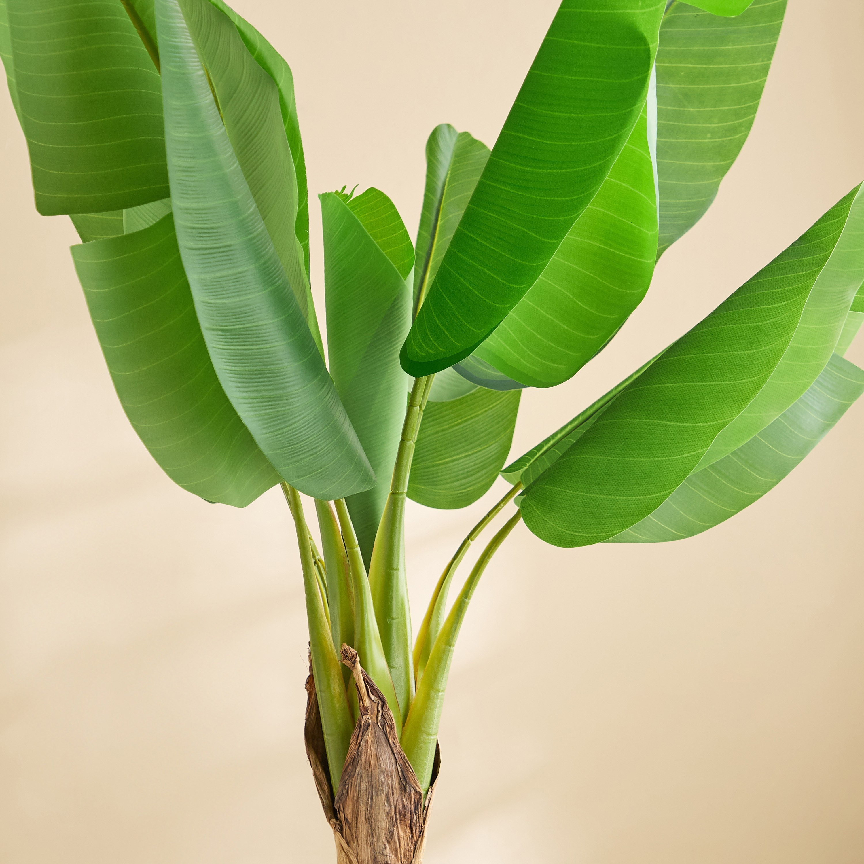 شجرة موز صناعية  بـ10 أوراق من تيدورا سيلفان - 110×110×155 سم-hbxdecorandfurnishings-homeaccessories-artificialflowersandplants-image-3