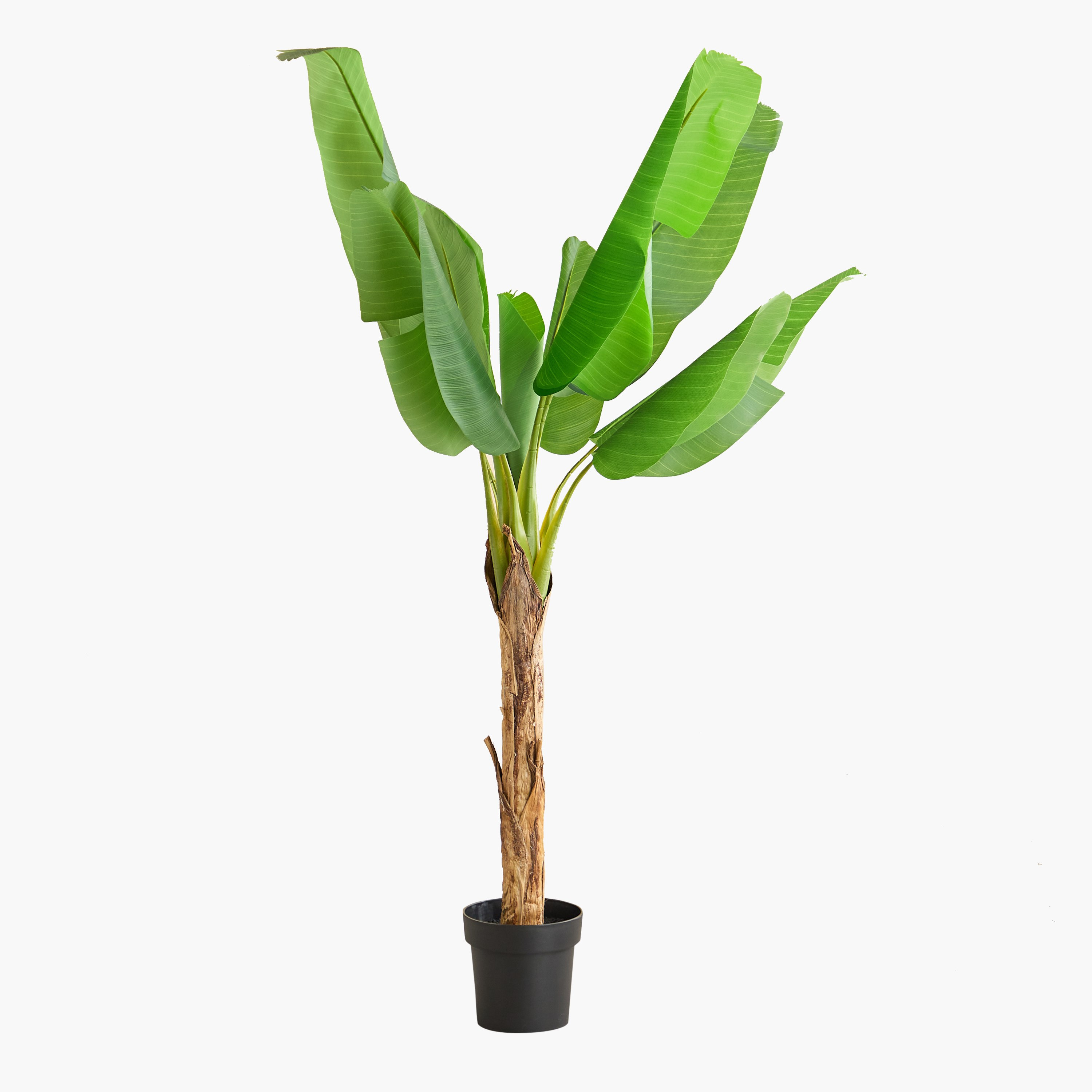 شجرة موز صناعية  بـ10 أوراق من تيدورا سيلفان - 110×110×155 سم-hbxdecorandfurnishings-homeaccessories-artificialflowersandplants-image-6