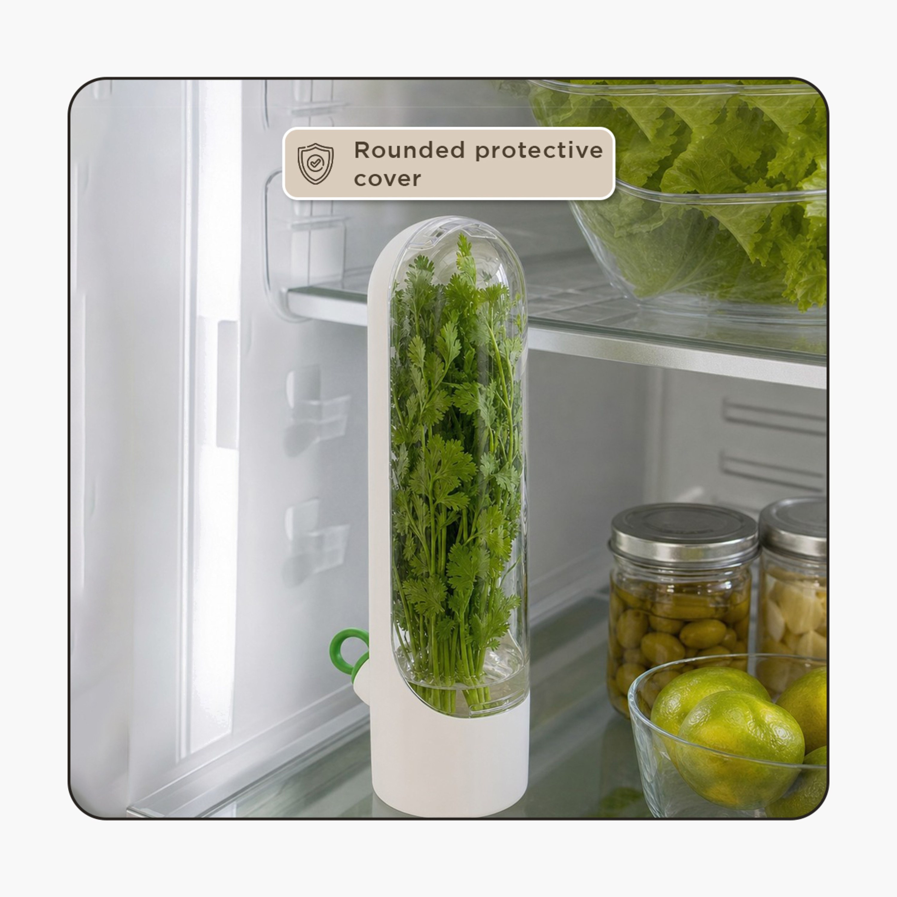 Sistematico Fresh Herb Keeper and Storage - 24.5 cm-hbxhomeware-hbxkitchen-image-7