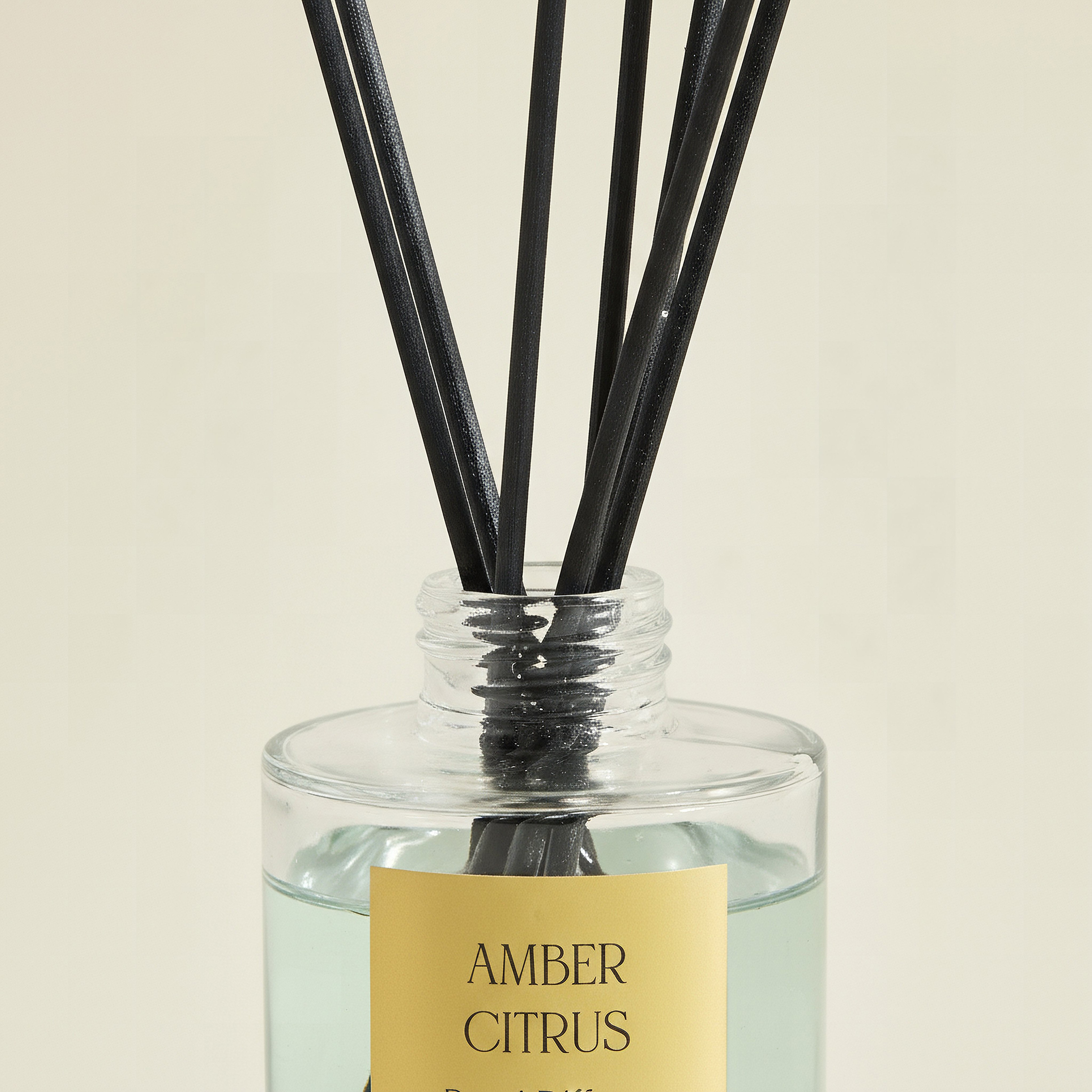 Evode Amber Citrus Reed Diffuser - 100 ml-hbxhomeware-hbxdecorandfurnishings-image-2