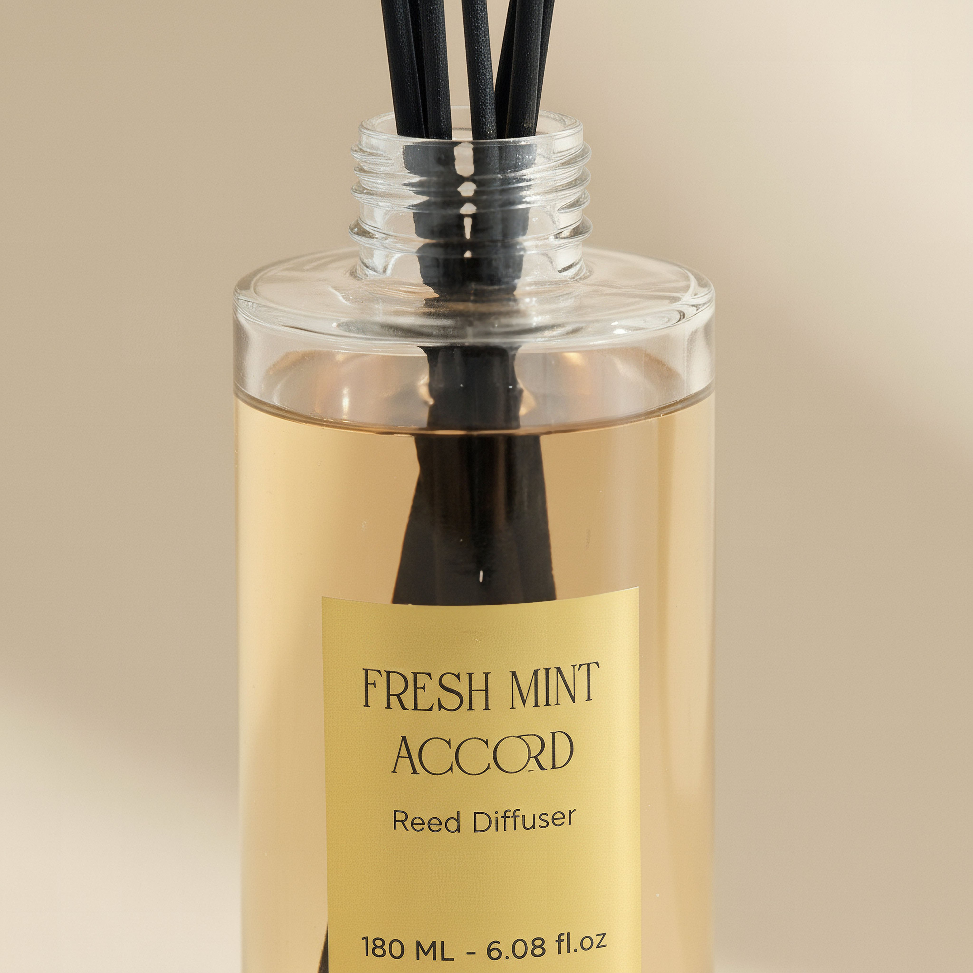 Evode Fresh Mint Accord Reed Diffuser - 180 ml-hbxhomeware-hbxdecorandfurnishings-image-2