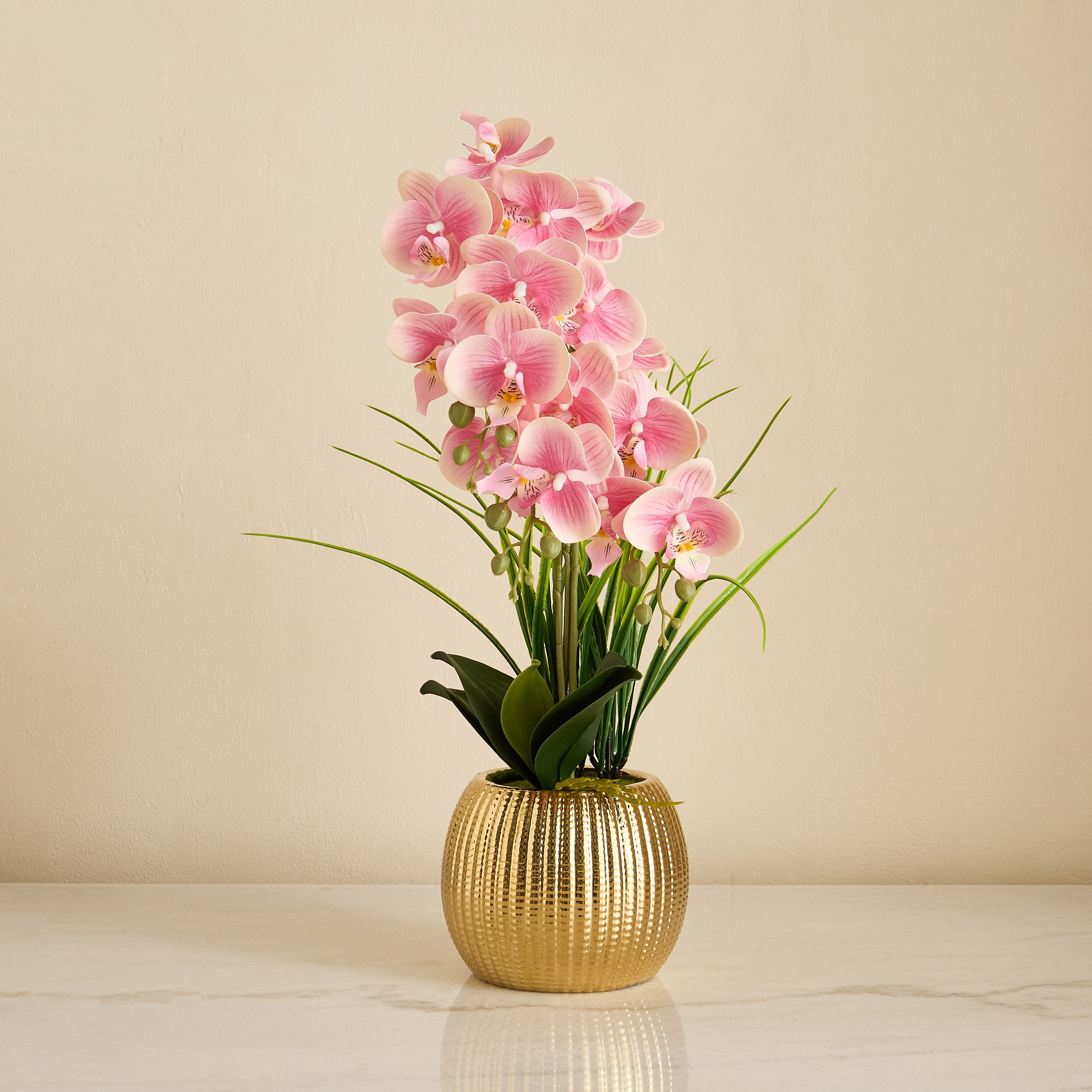 Areos Orchid Flower Arrangement with Ribbed Ceramic Pot - 56 cm-PROMO_HB_BAH_THRESHOLD_Homeware_100426-image-4