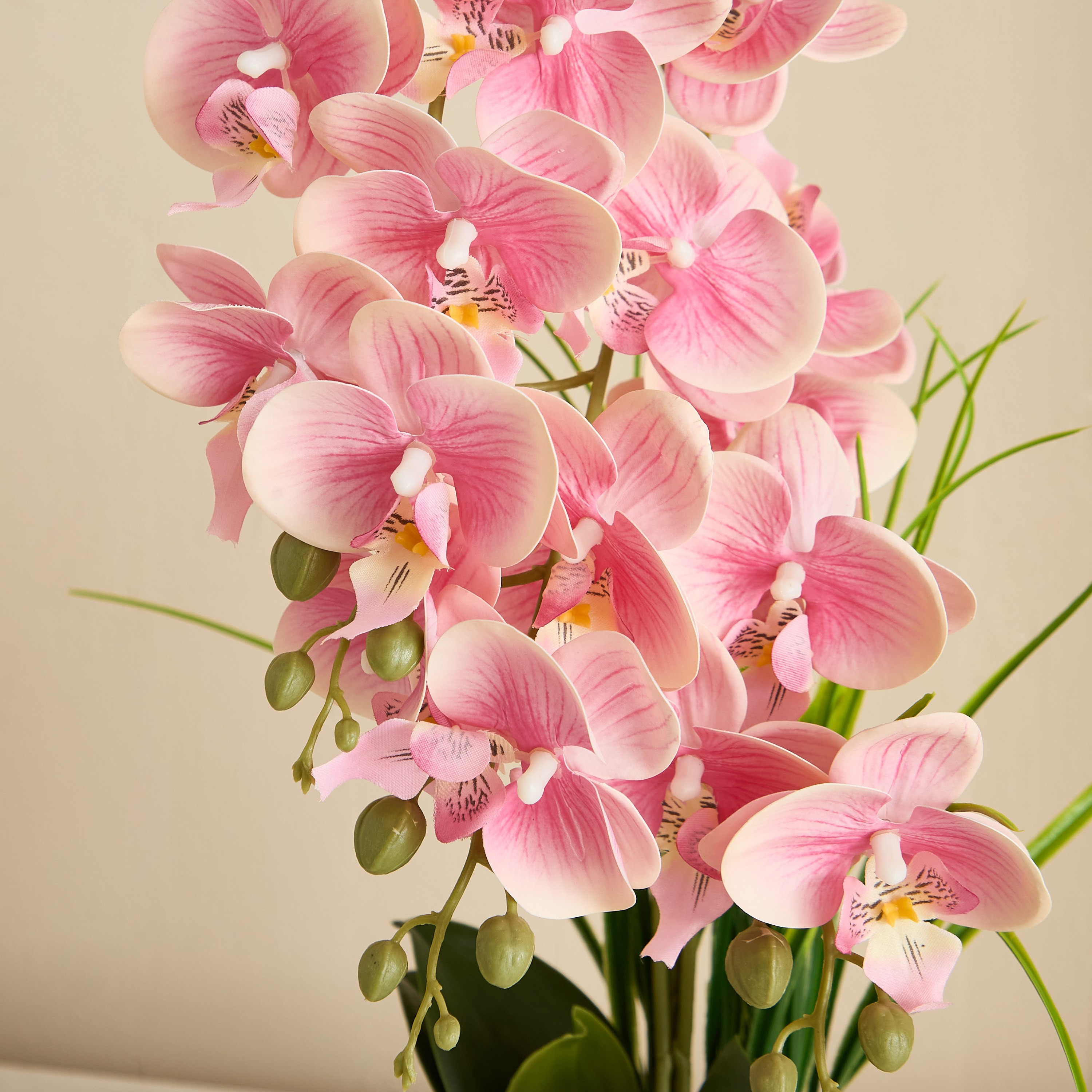 Areos Orchid Flower Arrangement with Ribbed Ceramic Pot - 56 cm-PROMO_HB_BAH_THRESHOLD_Homeware_100426-image-5