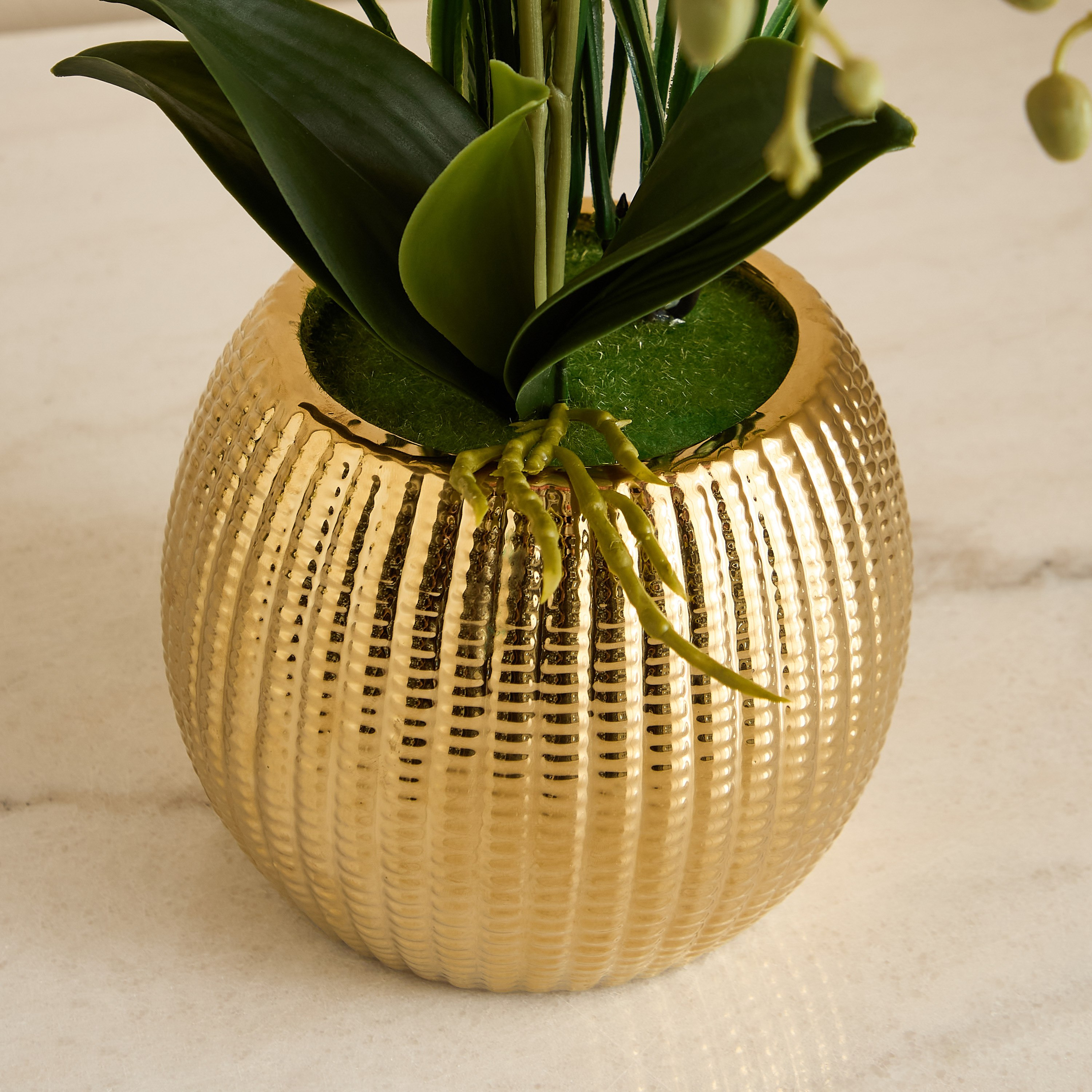 Areos Orchid Flower Arrangement with Ribbed Ceramic Pot - 56 cm-PROMO_HB_BAH_THRESHOLD_Homeware_100426-image-6