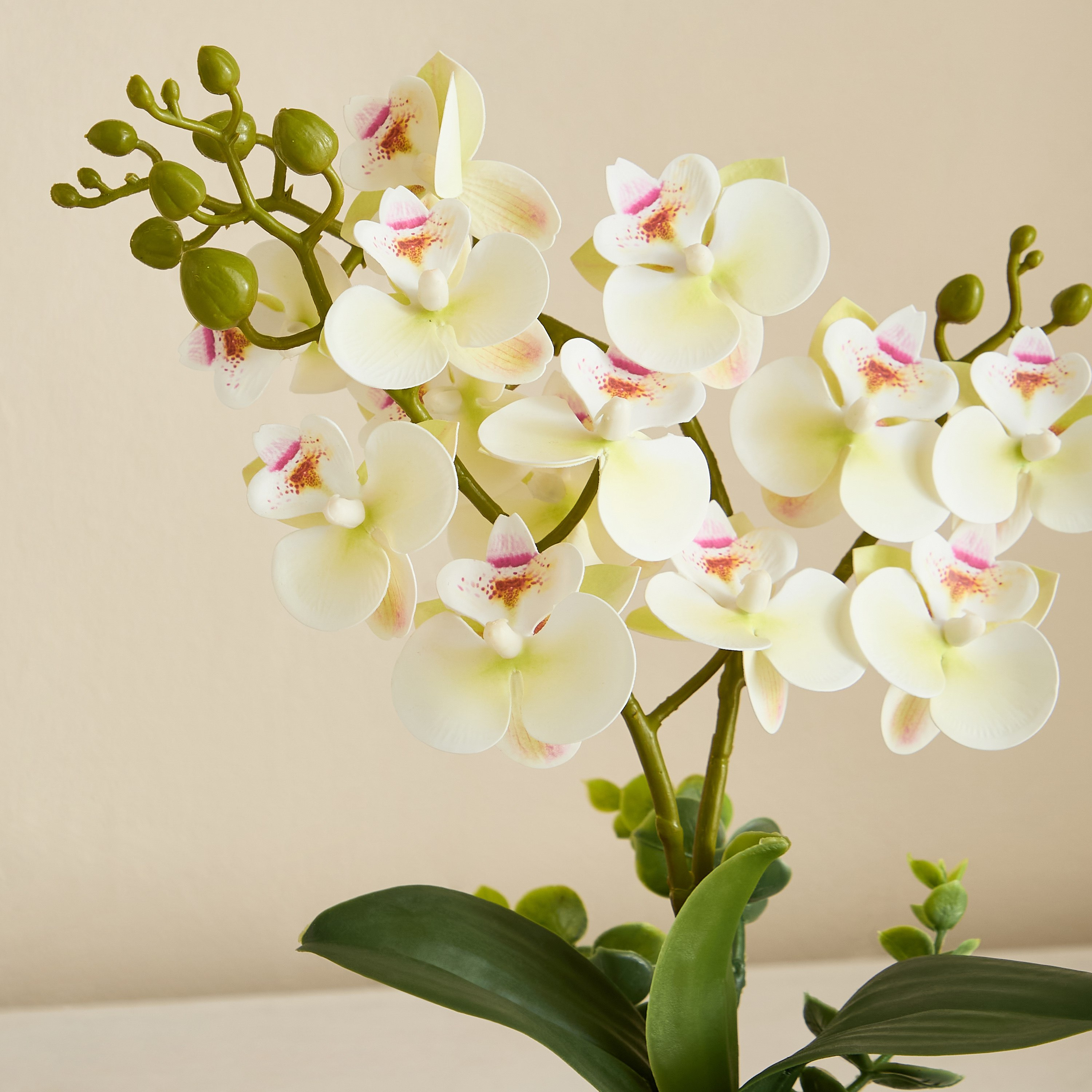 باقة زهرة الأوركيد في وعاء سيراميك مضلع - آريوس - 45 سم-hbxlivingroom-decorandaccessories-plantersandurns-image-5
