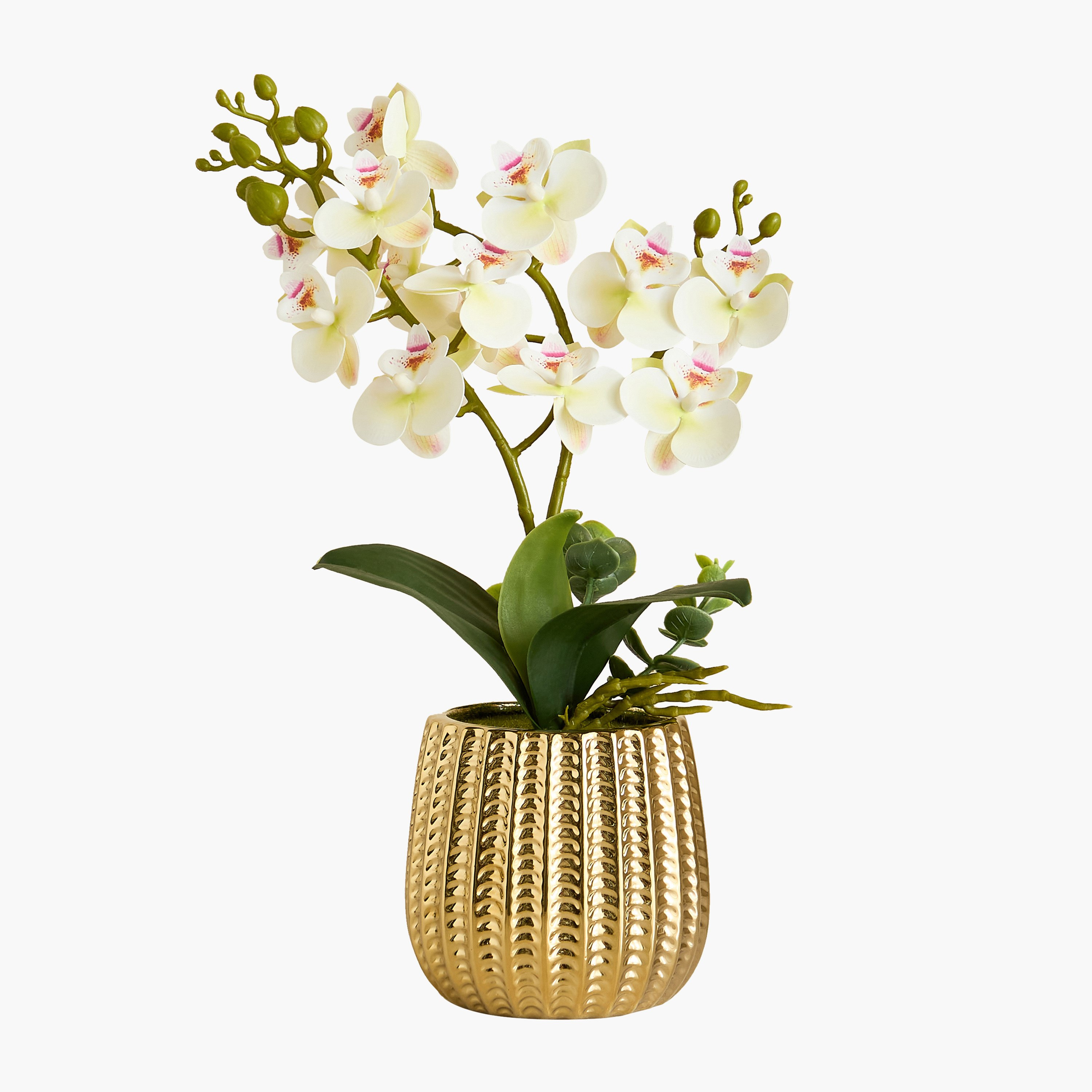 باقة زهرة الأوركيد في وعاء سيراميك مضلع - آريوس - 45 سم-hbxlivingroom-decorandaccessories-plantersandurns-image-8