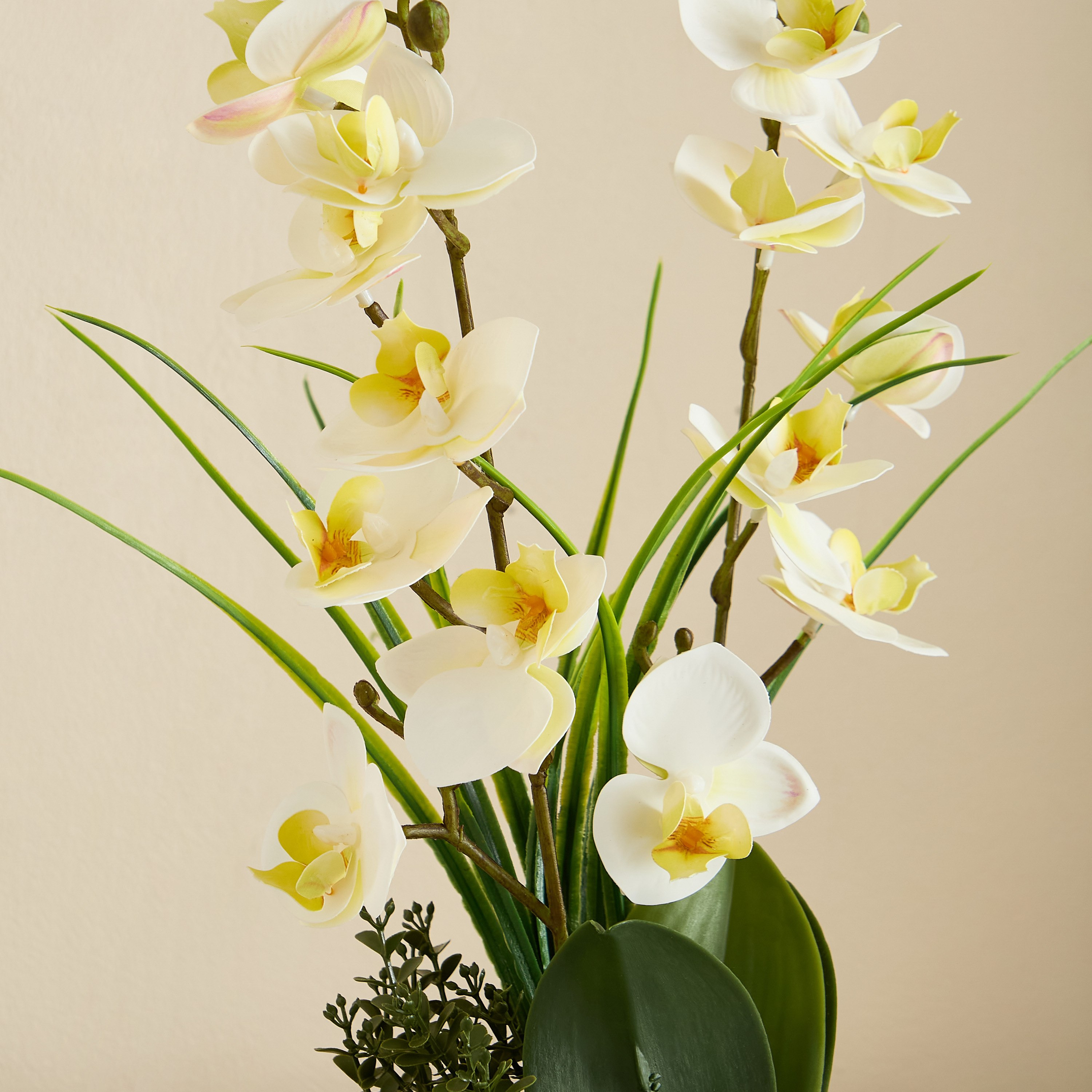 نبات صناعي في وعاء إم دي إف من آريوس - 49 سم-hbxlivingroom-decorandaccessories-plantersandurns-image-5