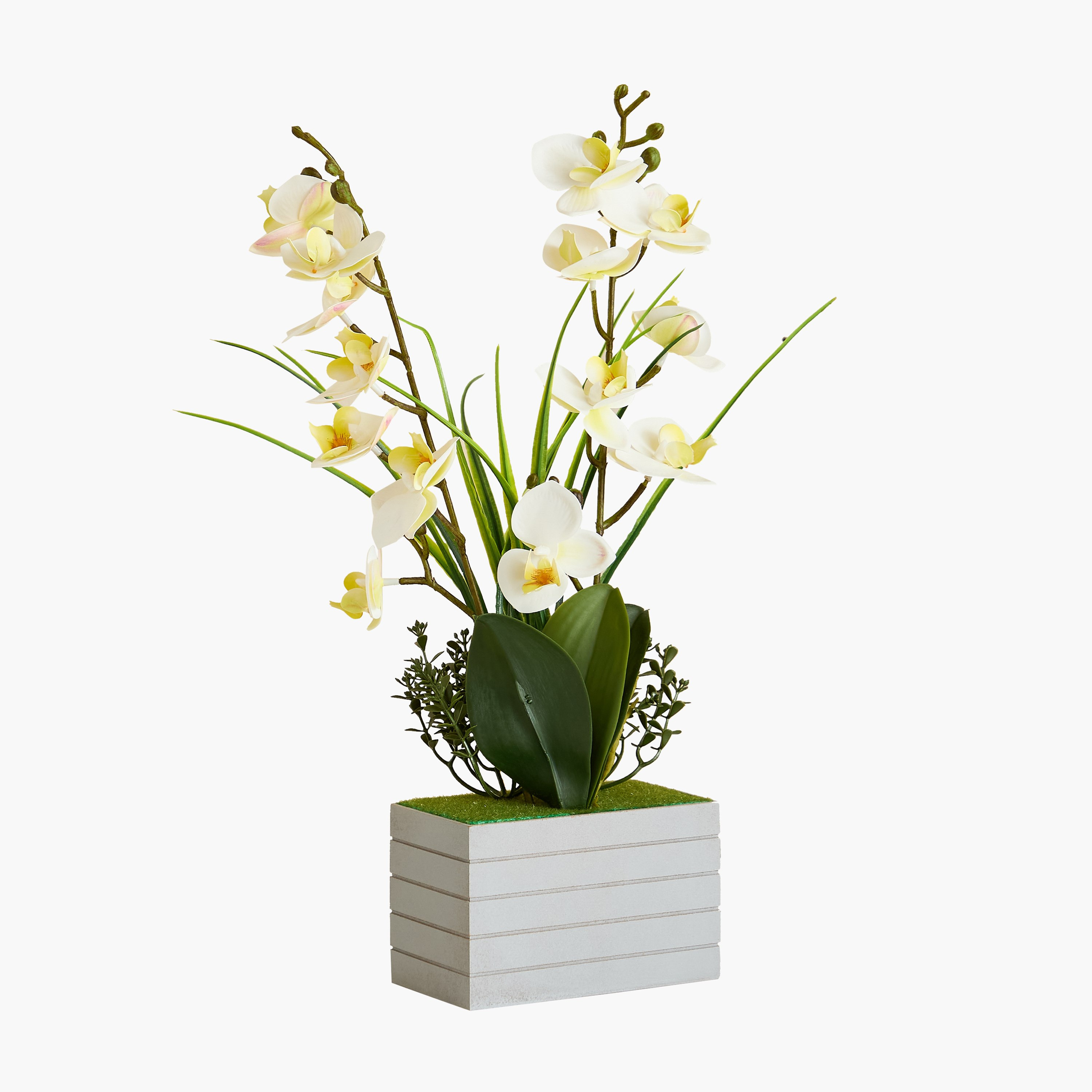 نبات صناعي في وعاء إم دي إف من آريوس - 49 سم-hbxlivingroom-decorandaccessories-plantersandurns-image-8