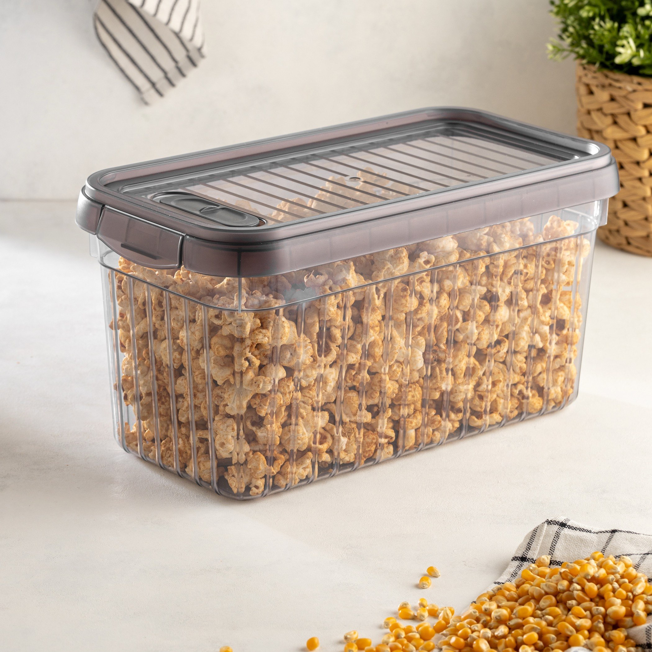 حاوية تخزين ليون من نيو - 4 لتر-hbxhomeware-hbxkitchen-image-1