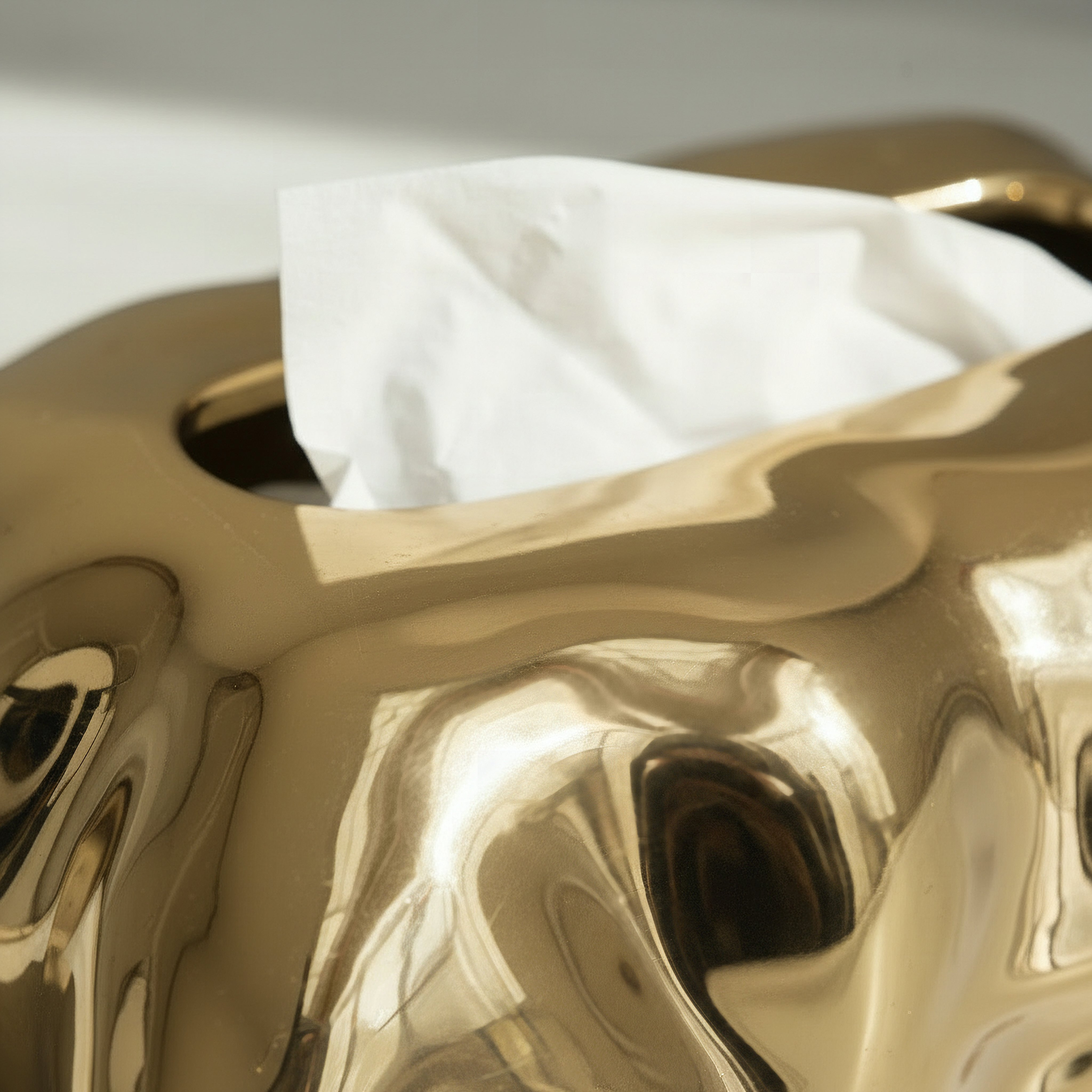 Aurum Titany Vianna Decorative Tissue Box - 23.5x16x10 cm-hbxdecorandfurnishings-homeaccessories-novelties-image-2