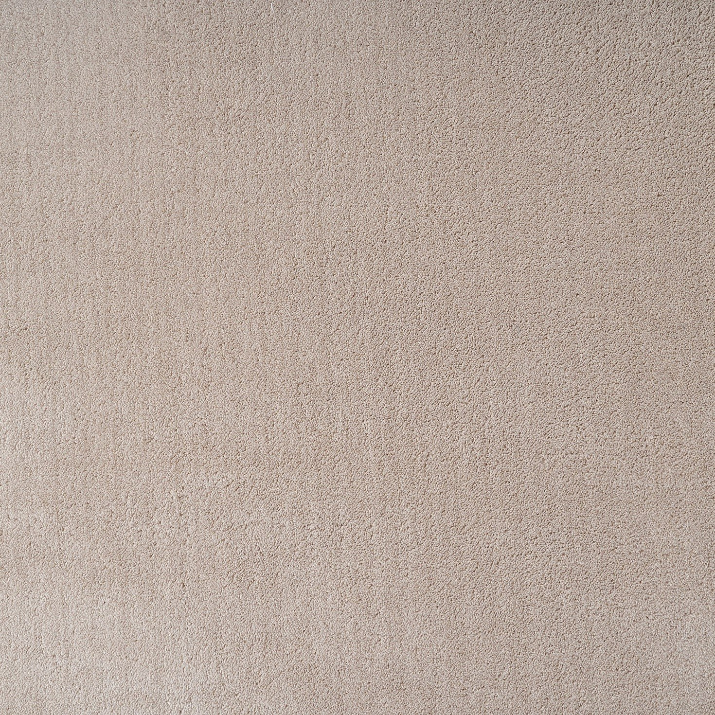 Movo Cozy Lite Microfibre Rug - 200x300 cm-hbxdecorandfurnishings-floorcoverings-rugs-image-2