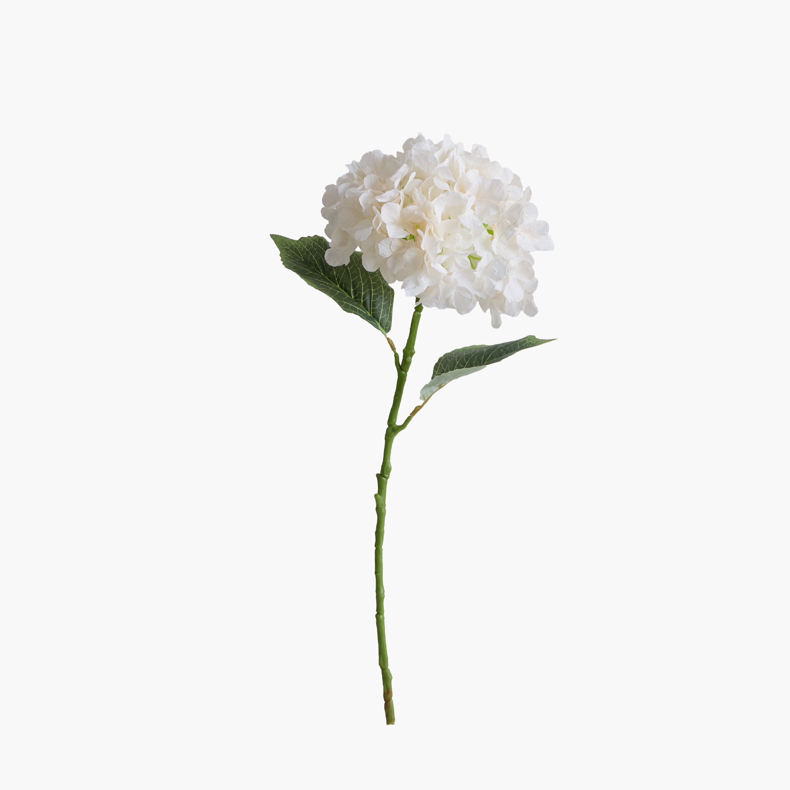 غصن زهرة هيدرانجيا من فلوريت - 53 سم-hbxdecorandfurnishings-homeaccessories-artificialflowersandplants-image-8