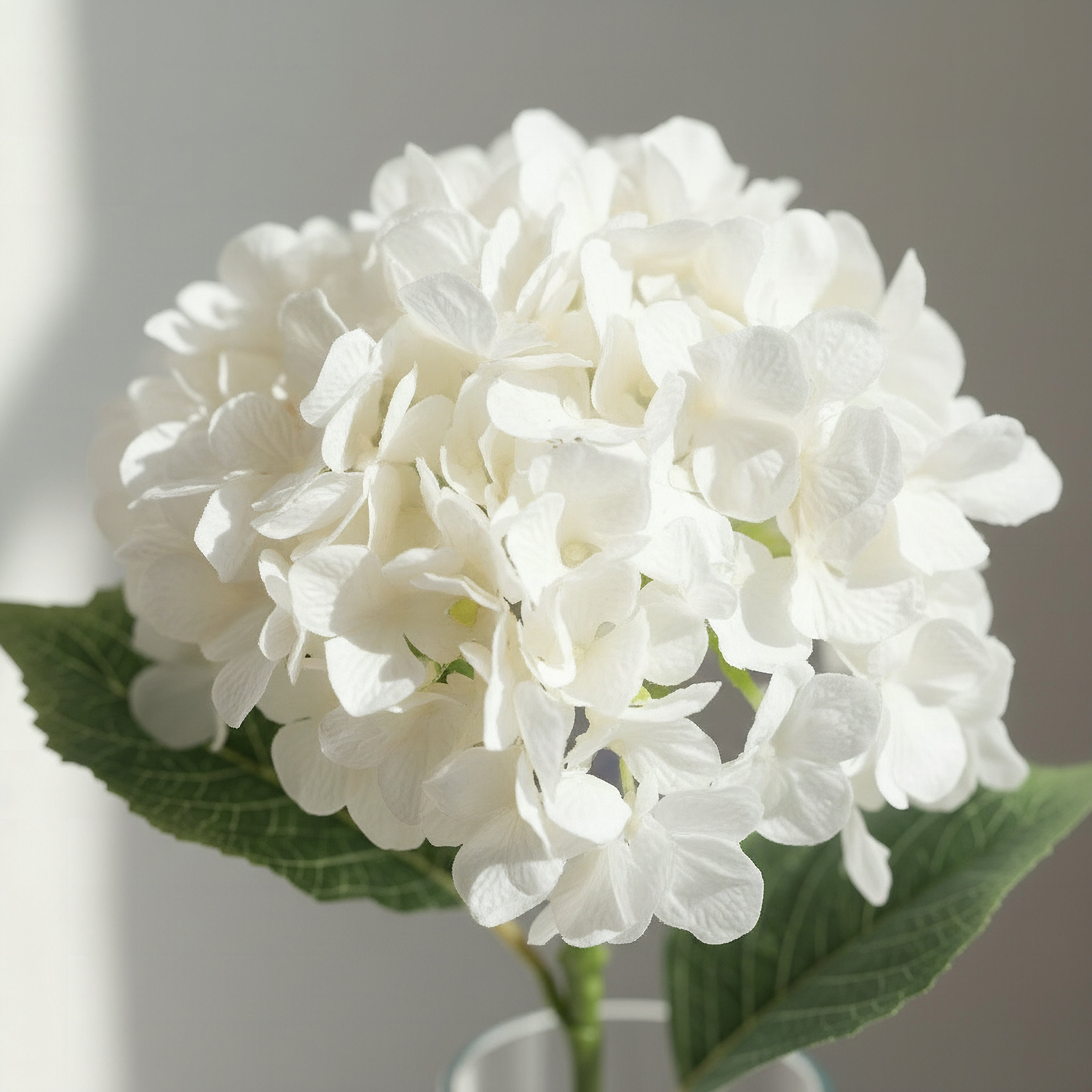 غصن زهرة هيدرانجيا من فلوريت - 53 سم-hbxdecorandfurnishings-homeaccessories-artificialflowersandplants-image-2
