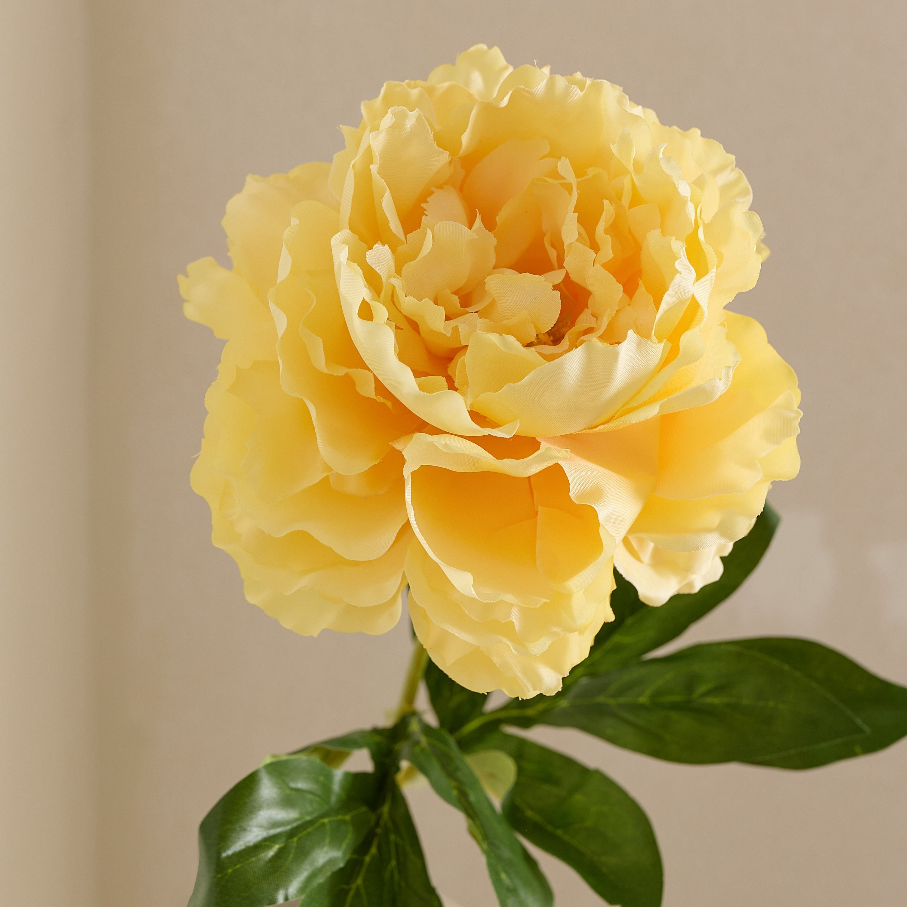 Floret Single Peony Flower Stick - 66 cm-hbxdecorandfurnishings-homeaccessories-artificialflowersandplants-image-6