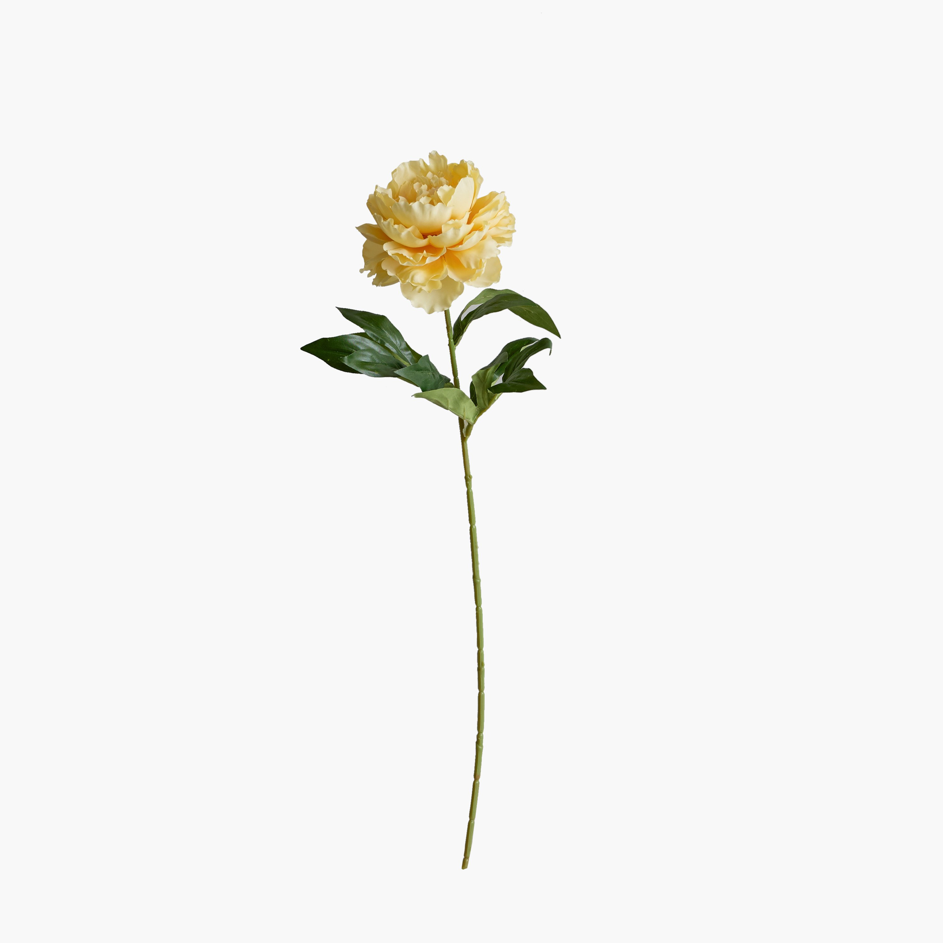 Floret Single Peony Flower Stick - 66 cm-hbxdecorandfurnishings-homeaccessories-artificialflowersandplants-image-8