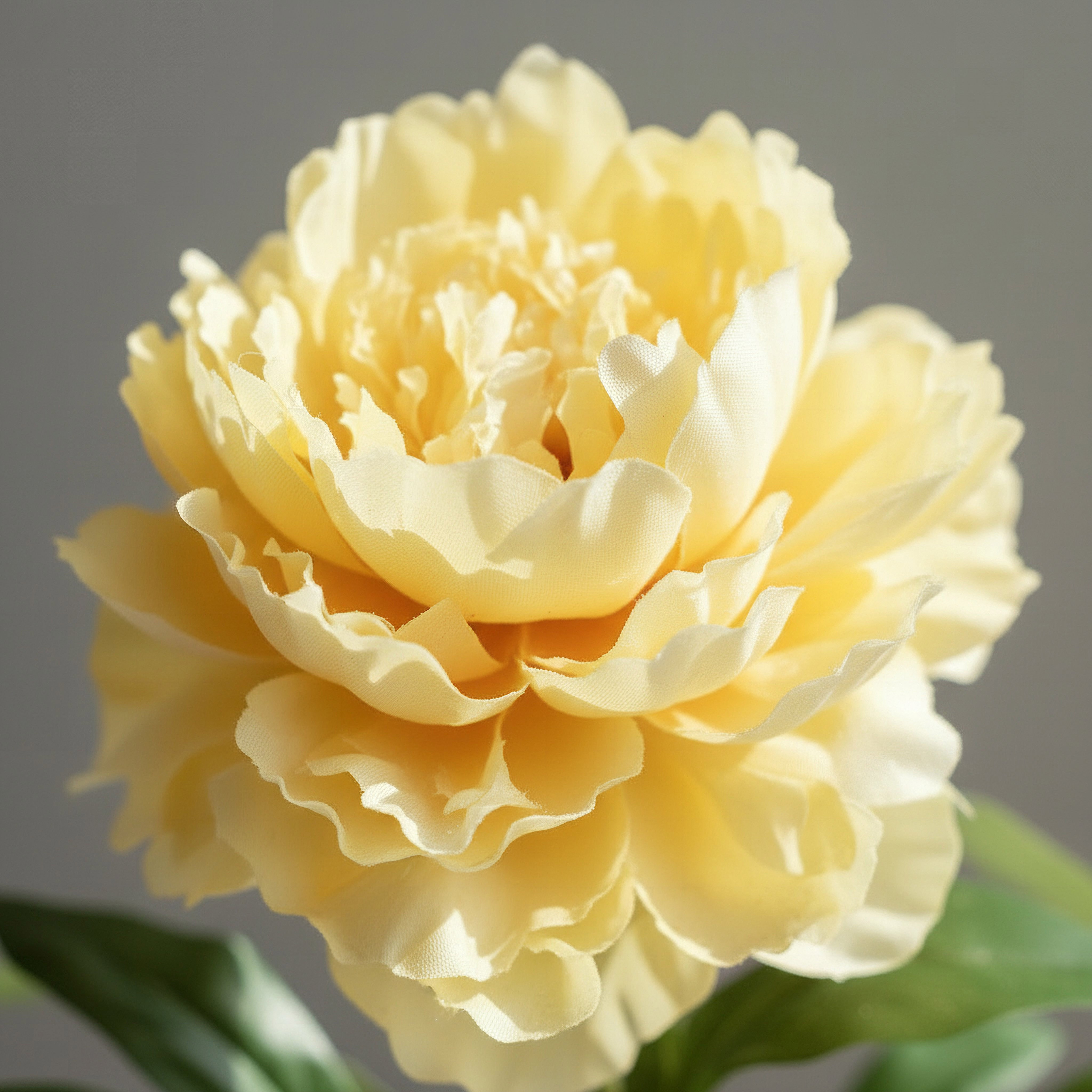 Floret Single Peony Flower Stick - 66 cm-hbxdecorandfurnishings-homeaccessories-artificialflowersandplants-image-2