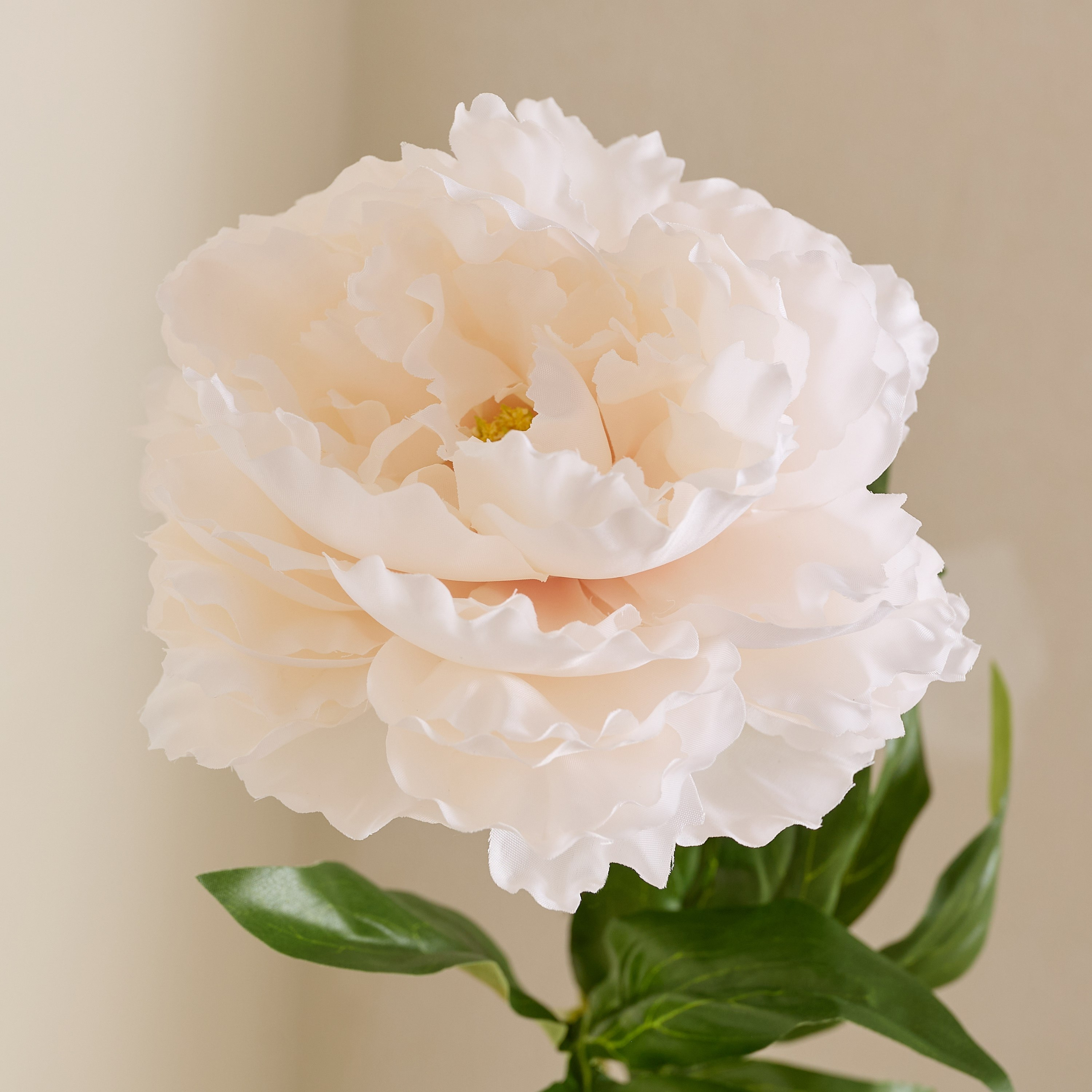 Floret Single Peony Flower Stick - 66 cm-hbxdecorandfurnishings-homeaccessories-artificialflowersandplants-image-6