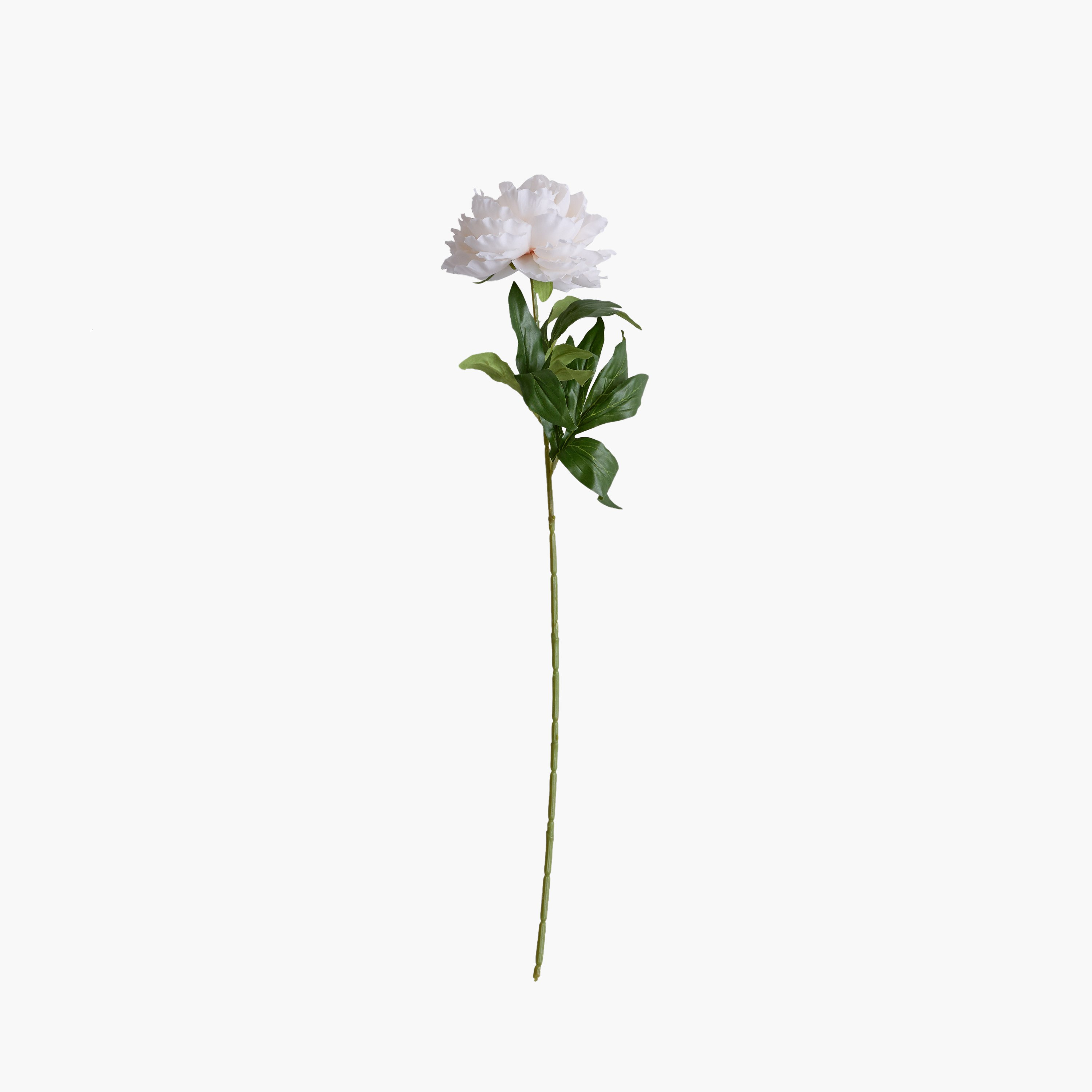 Floret Single Peony Flower Stick - 66 cm-hbxdecorandfurnishings-homeaccessories-artificialflowersandplants-image-8