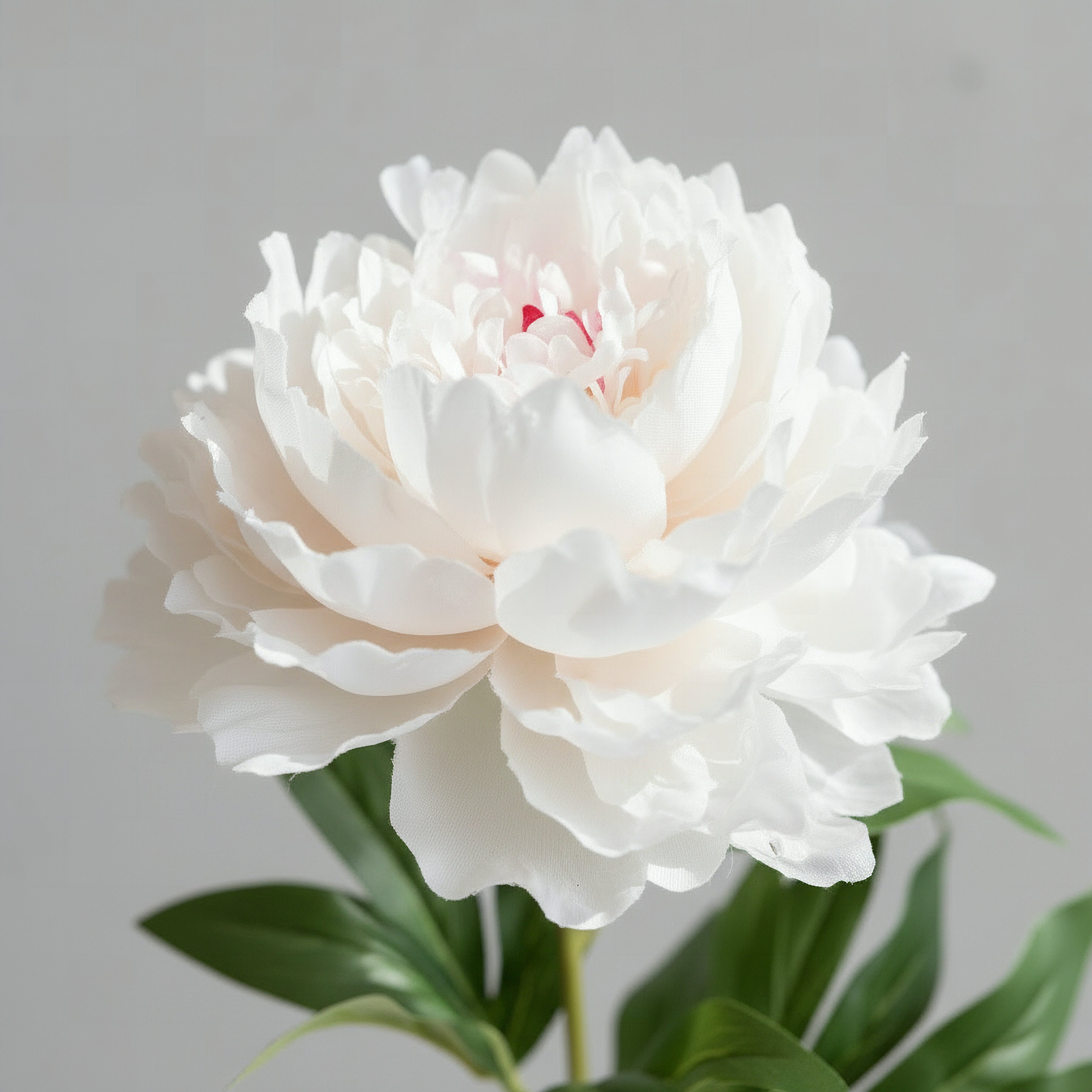 Floret Single Peony Flower Stick - 66 cm-hbxdecorandfurnishings-homeaccessories-artificialflowersandplants-image-2
