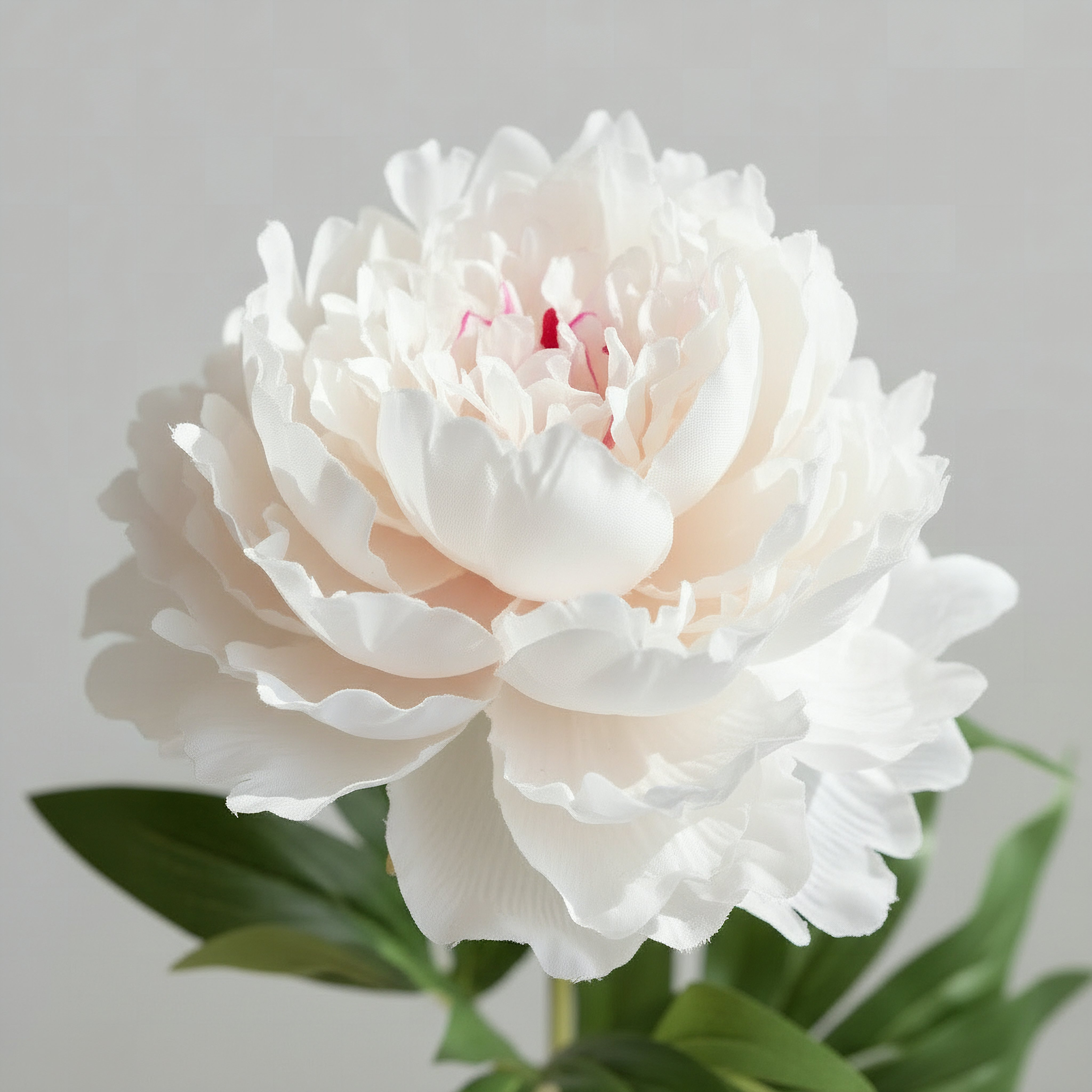 Floret Single Peony Flower Stick - 66 cm-hbxdecorandfurnishings-homeaccessories-artificialflowersandplants-image-3
