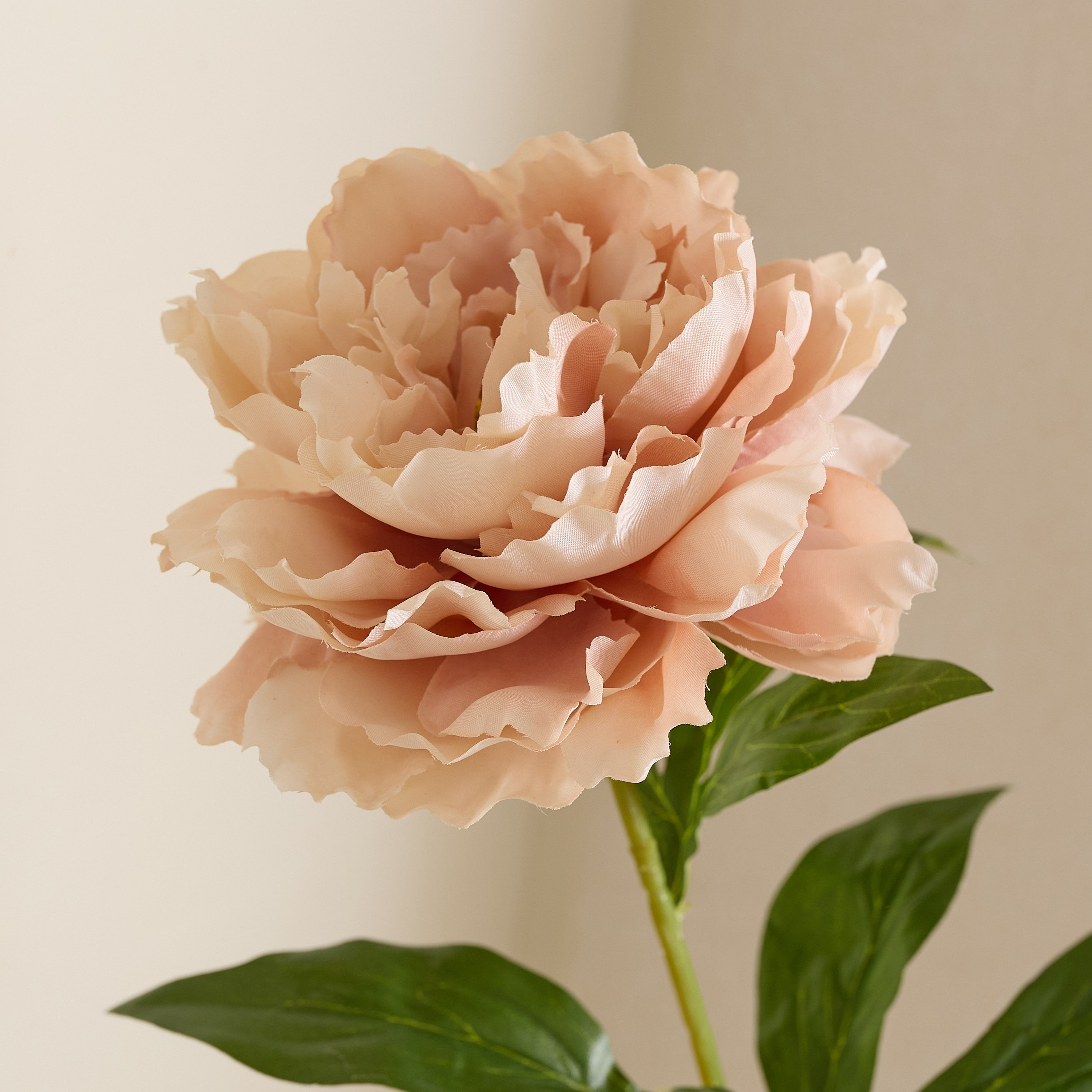 Floret Single Peony Flower Stick - 66 cm-hbxdecorandfurnishings-homeaccessories-artificialflowersandplants-image-6