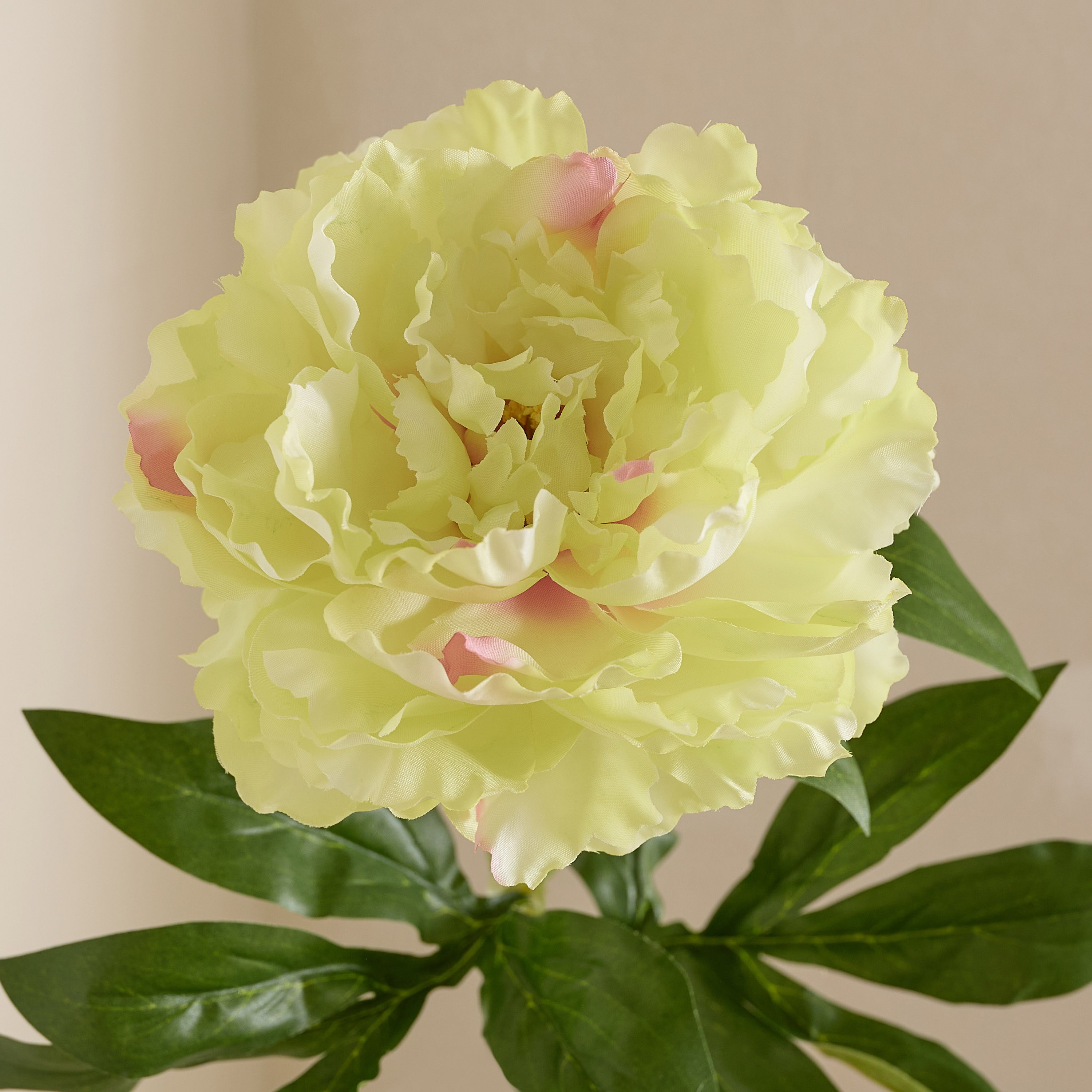 Floret Single Peony Flower Stick - 66 cm-hbxdecorandfurnishings-homeaccessories-artificialflowersandplants-image-6