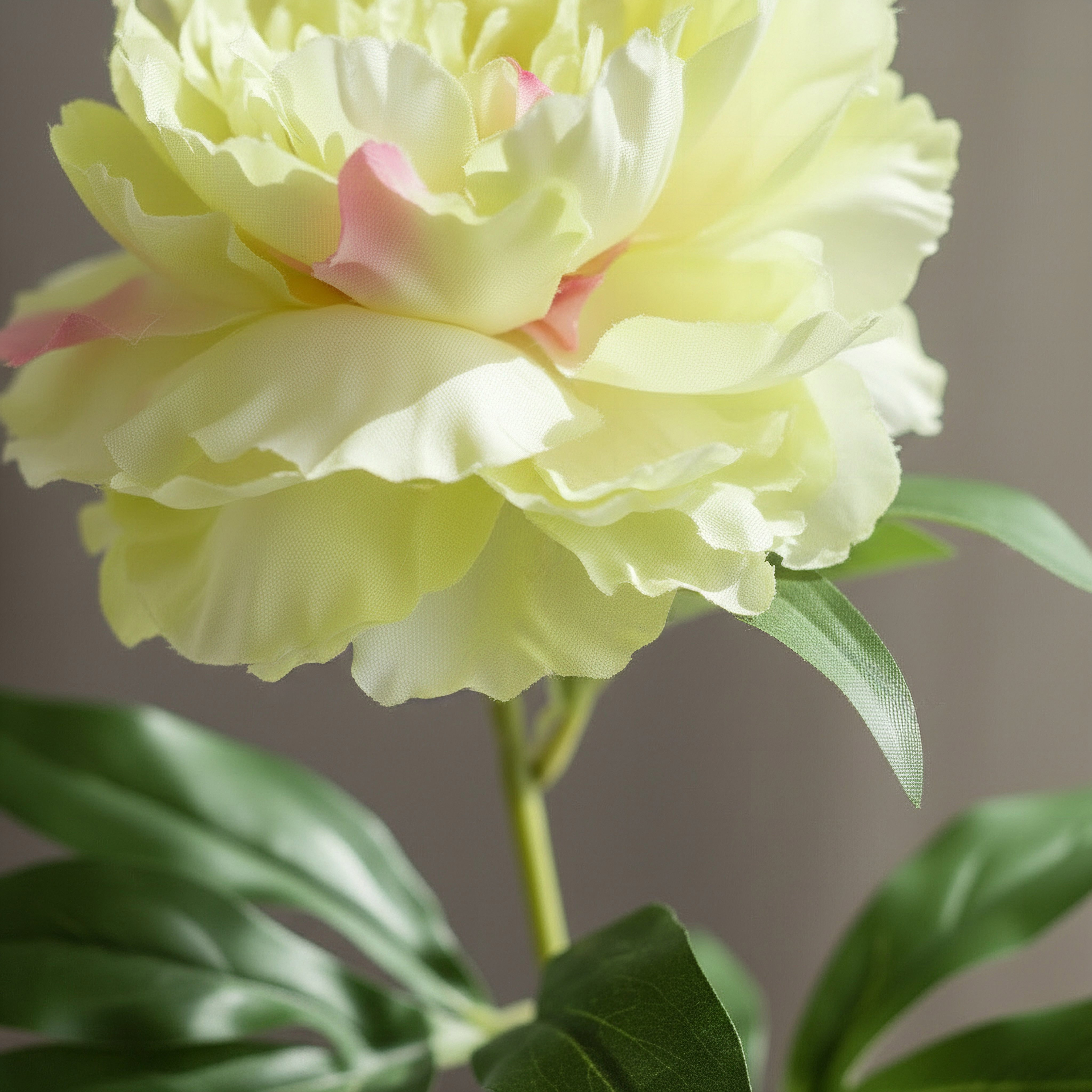 Floret Single Peony Flower Stick - 66 cm-hbxdecorandfurnishings-homeaccessories-artificialflowersandplants-image-2